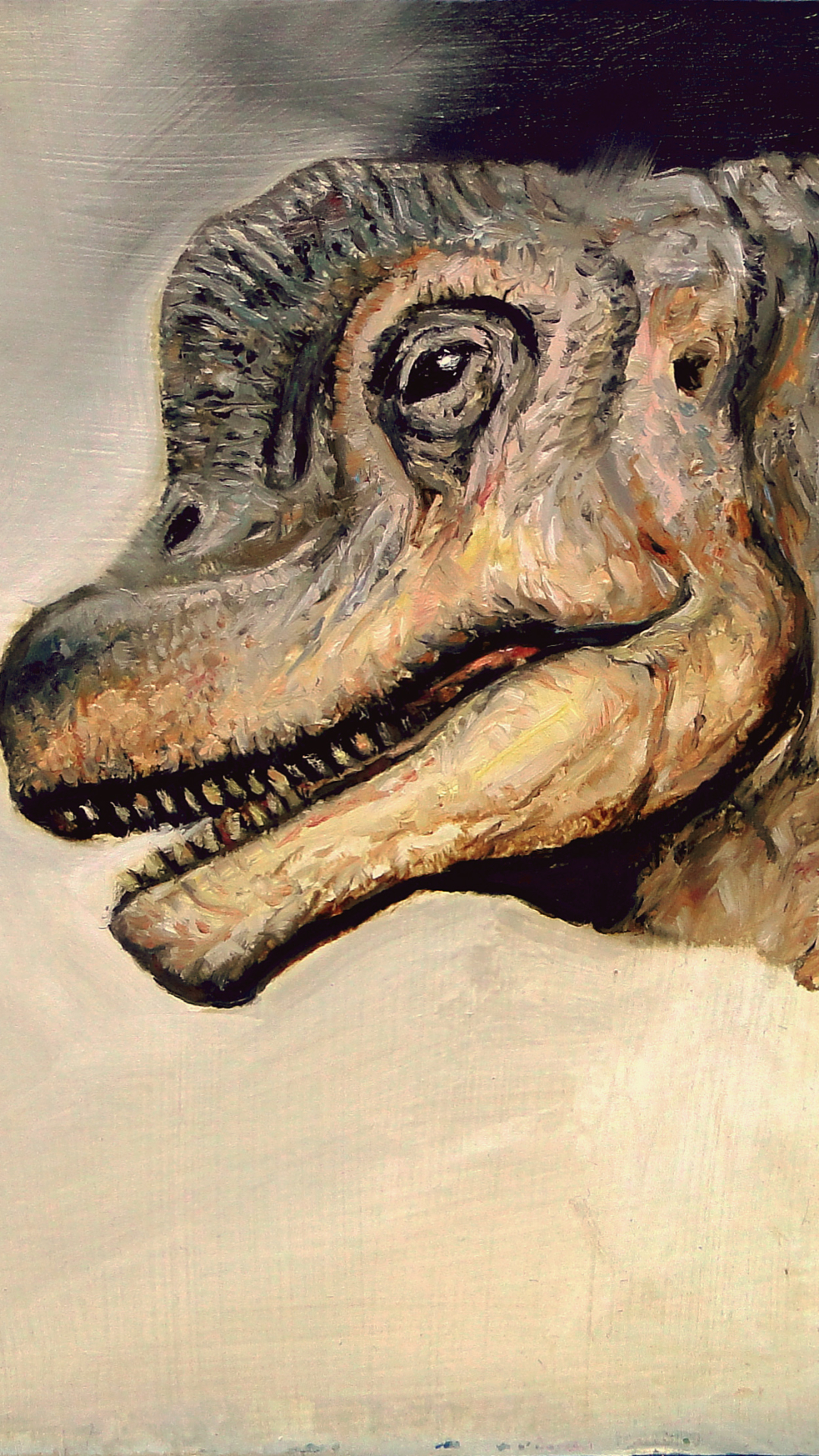 1136676壁紙のダウンロード動物, 恐竜, ブラキオサウルス-スクリーンセーバーと写真を無料で