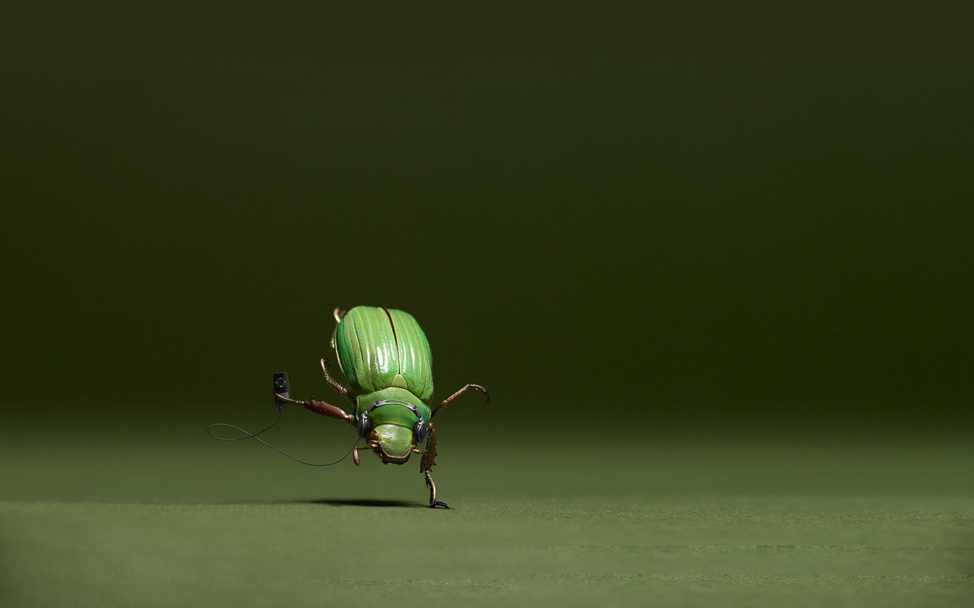 insects, black, music, funny lock screen backgrounds