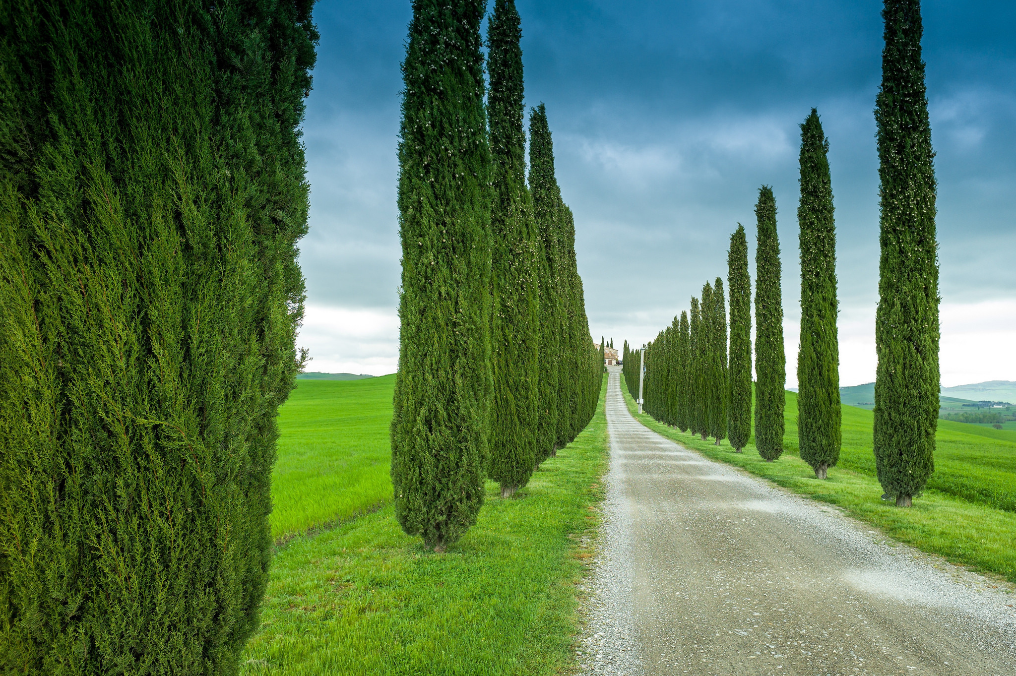 Téléchargez des papiers peints mobile Paysage, Route, Toscane, Construction Humaine, Bordée D'arbres gratuitement.