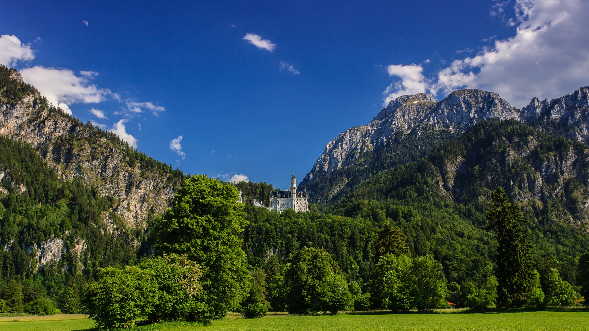 man made, neuschwanstein castle, bavaria, germany, mountain, castles