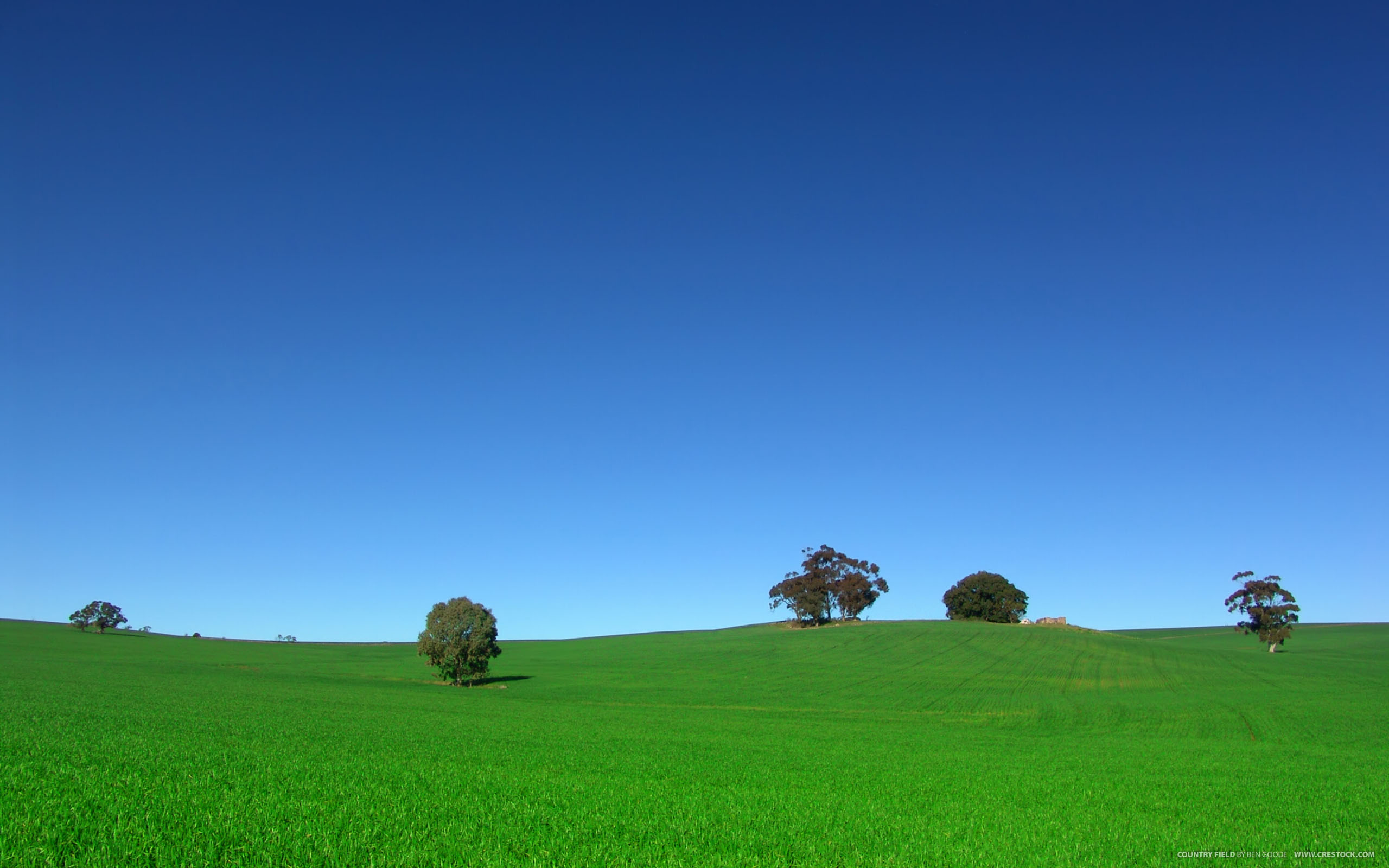 Free download wallpaper Earth, Field on your PC desktop