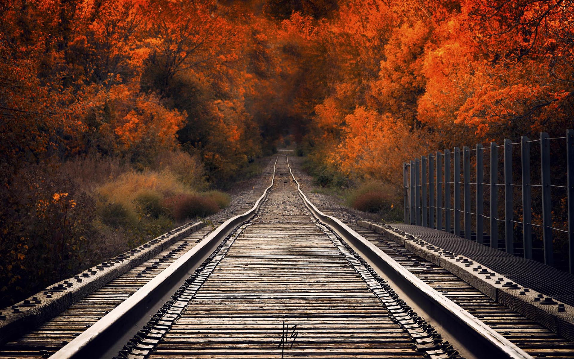 Free download wallpaper Nature, Forest, Railroad, Man Made on your PC desktop