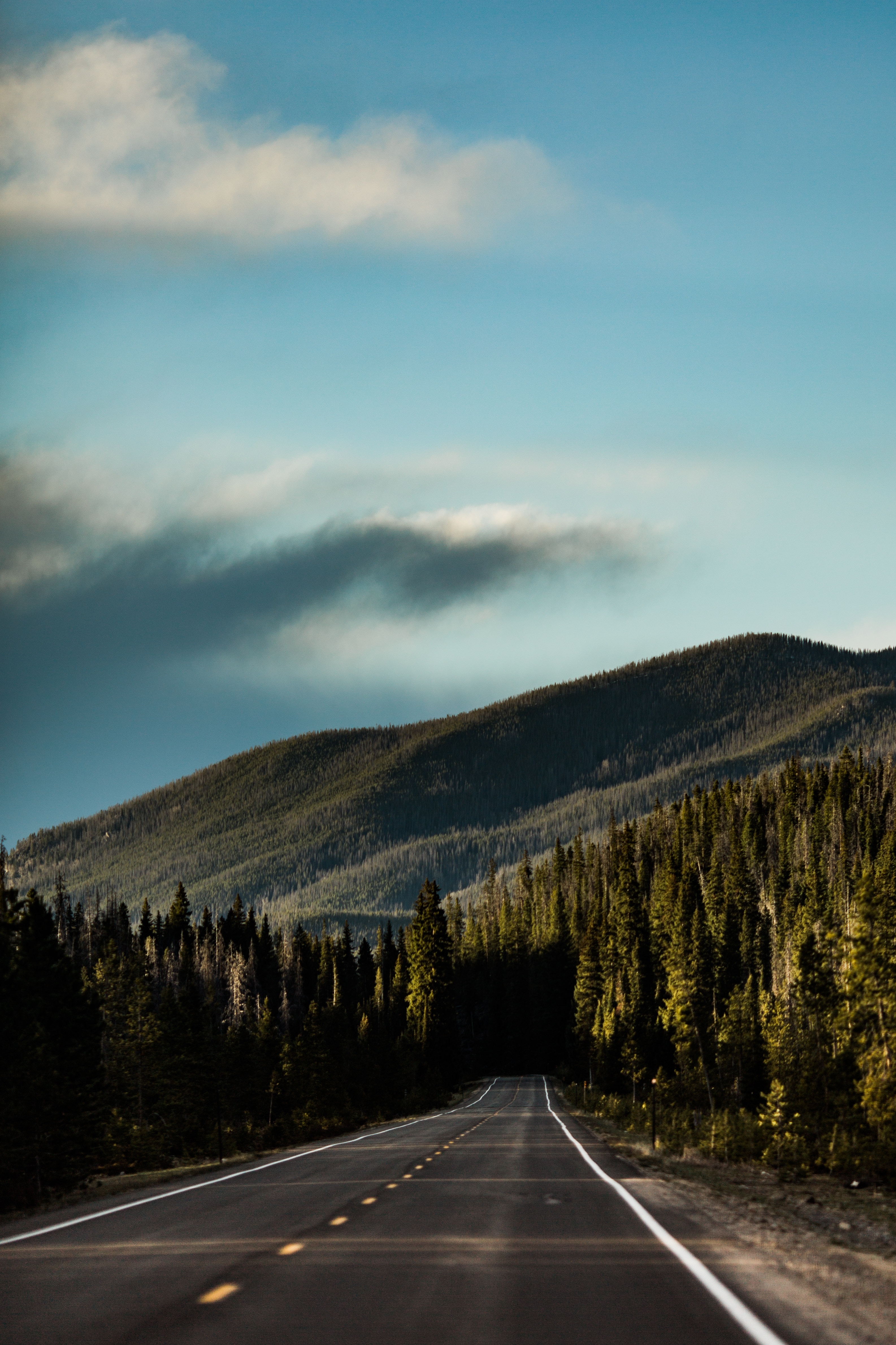 nature, sky, mountain, road, markup, forest, direction
