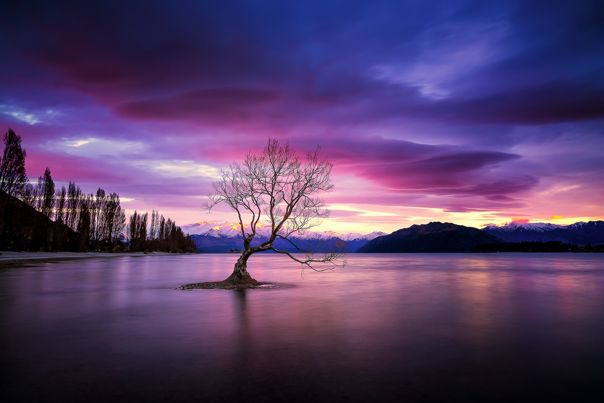 Download mobile wallpaper Nature, Trees, Sunset, Lake, Tree, Earth for free.