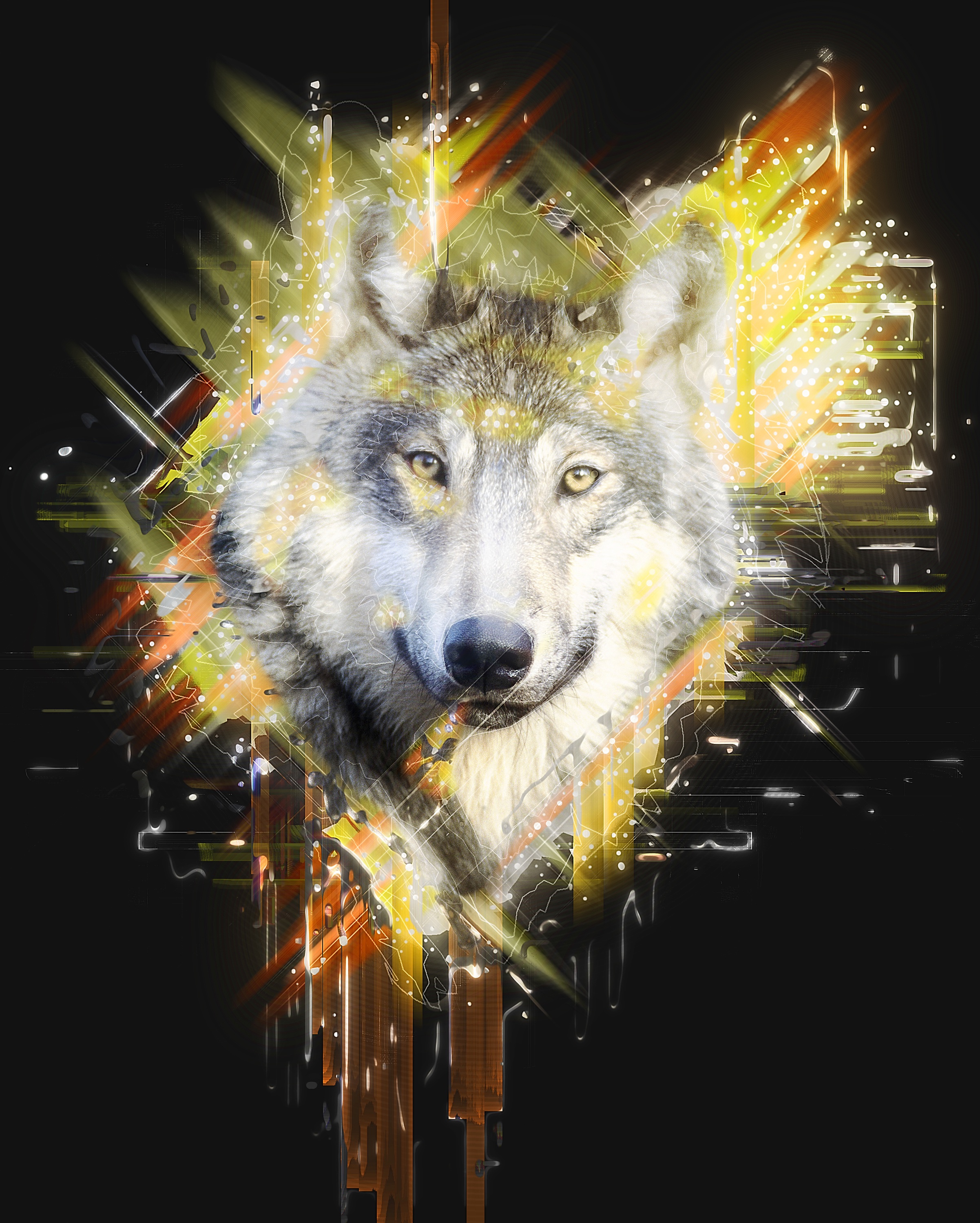 74476 скачать обои волк, хищник, морда, арт - заставки и картинки бесплатно