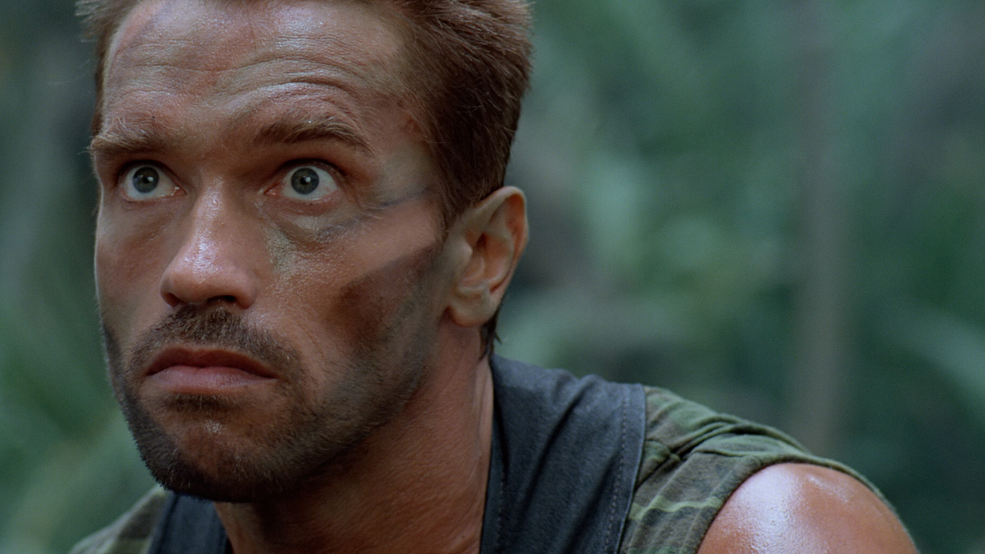 Download mobile wallpaper Arnold Schwarzenegger, Predator, Movie for free.
