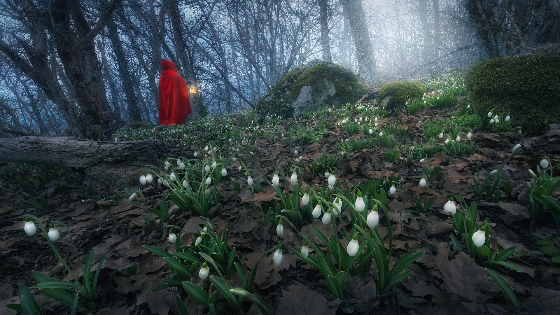 Download mobile wallpaper Night, Forest, Lantern, Mood, Women, Red Riding Hood for free.