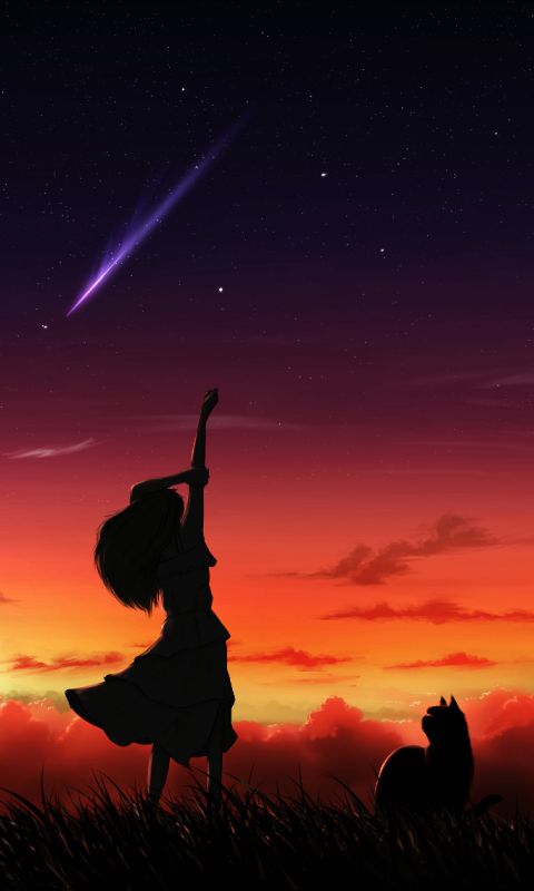 Download mobile wallpaper Anime, Sunset, Sky, Stars, Silhouette, Cat, Cloud, Original, Shooting Star for free.