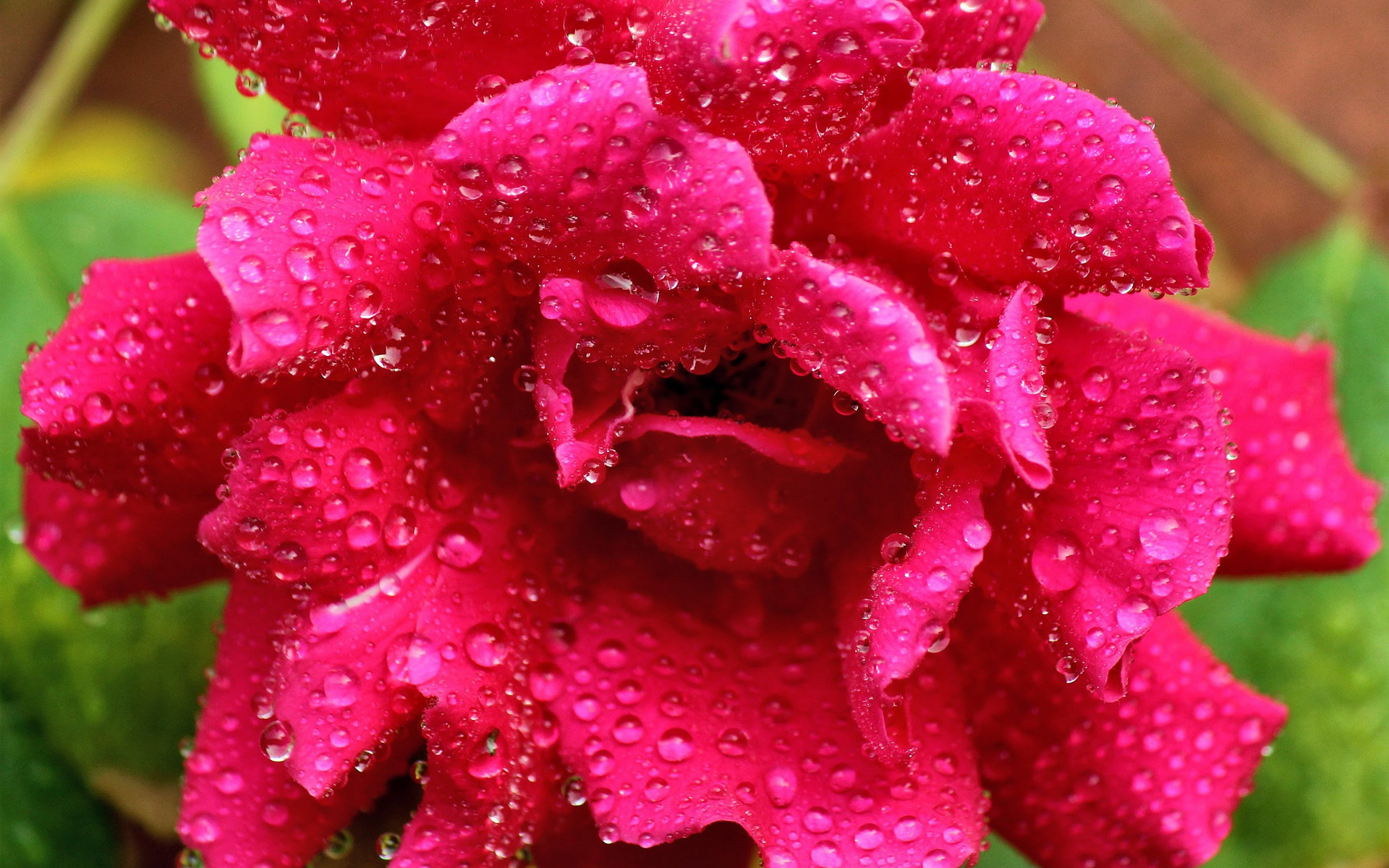 Descarga gratuita de fondo de pantalla para móvil de Tierra/naturaleza, Gota De Agua.