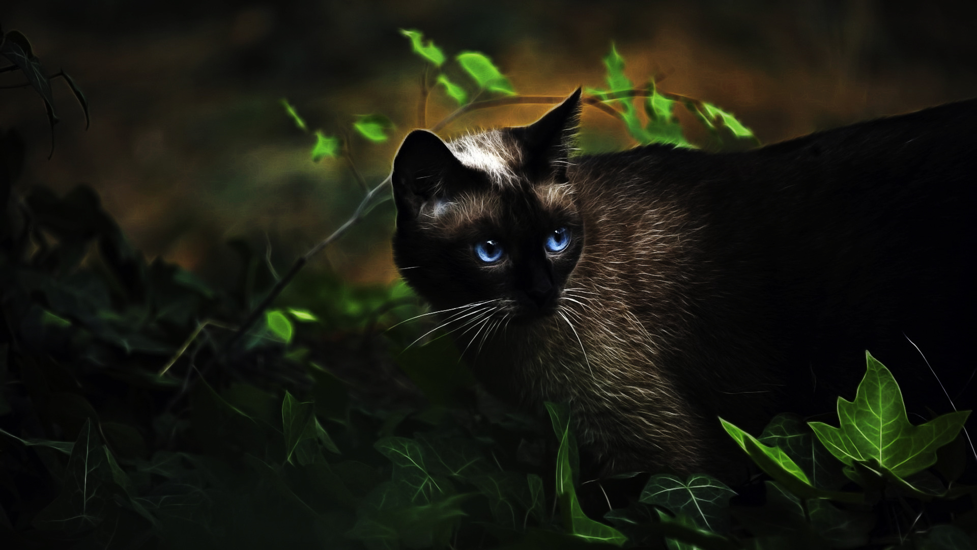 Download mobile wallpaper Cat, Cats, Animal, Dark for free.
