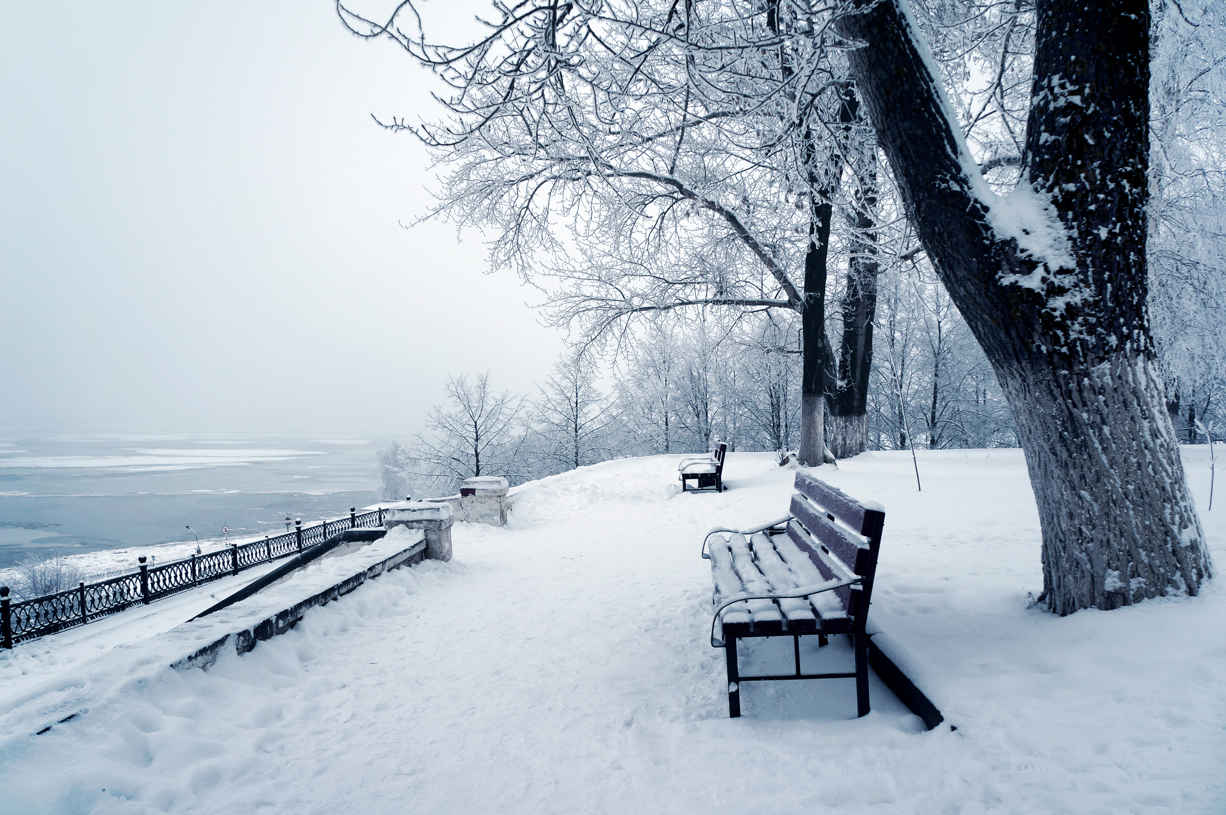 Скачать обои бесплатно Зима, Снег, Парк, Дерево, Скамья, Сделано Человеком картинка на рабочий стол ПК