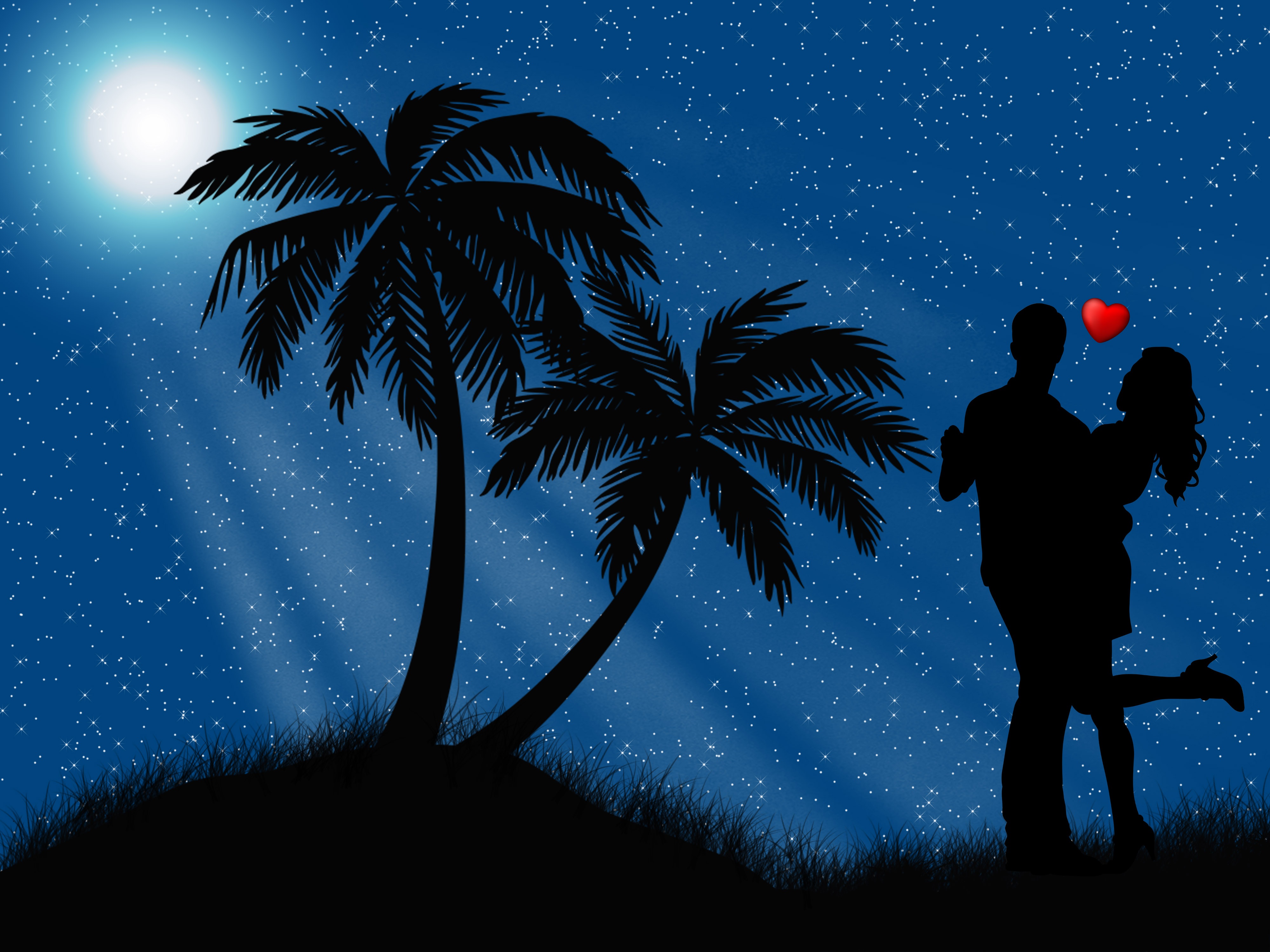 Free download wallpaper People, Night, Love, Couple, Artistic, Romantic, Palm Tree on your PC desktop