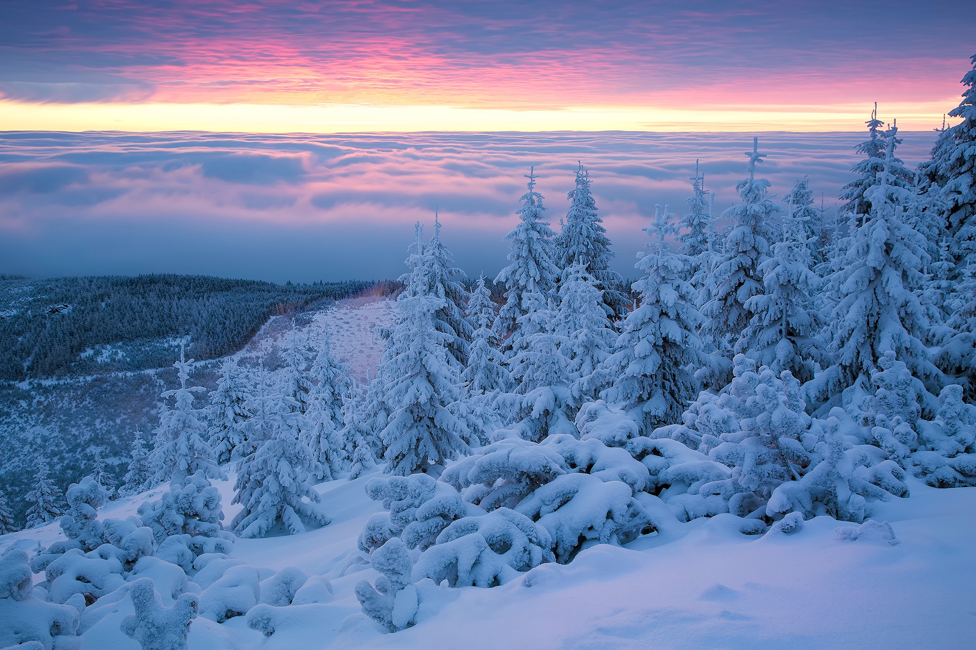 Download mobile wallpaper Winter, Nature, Snow, Horizon, Forest, Sunrise, Earth, Cloud for free.
