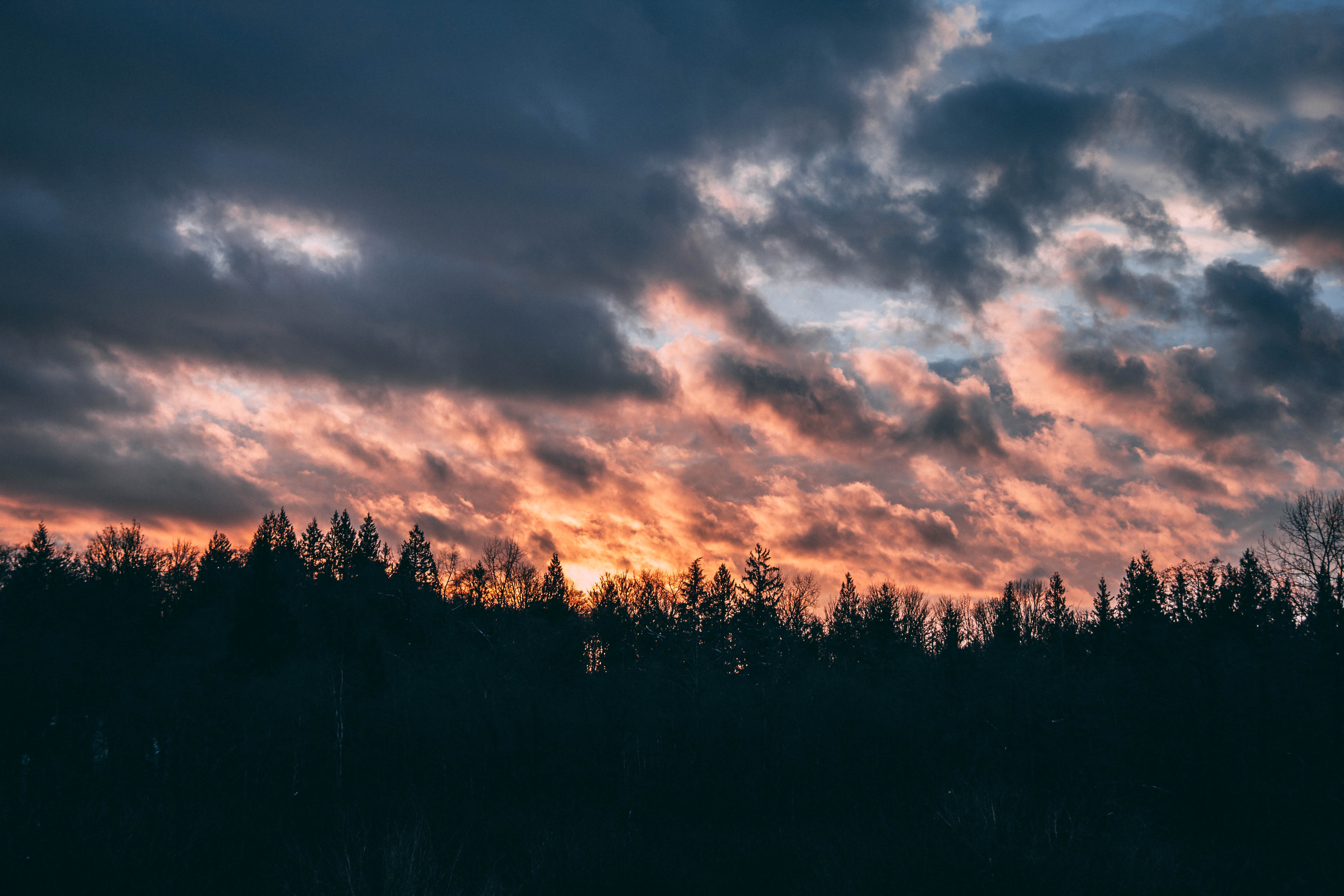 Laden Sie das Bäume, Sunset, Sky, Clouds, Dunkel-Bild kostenlos auf Ihren PC-Desktop herunter