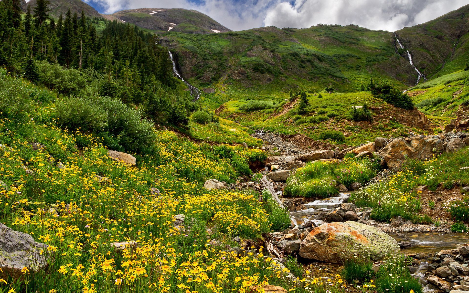 stones, nature, flowers, grass, mountains, greens, relief, gurgling, murmur, brooks, streams Full HD