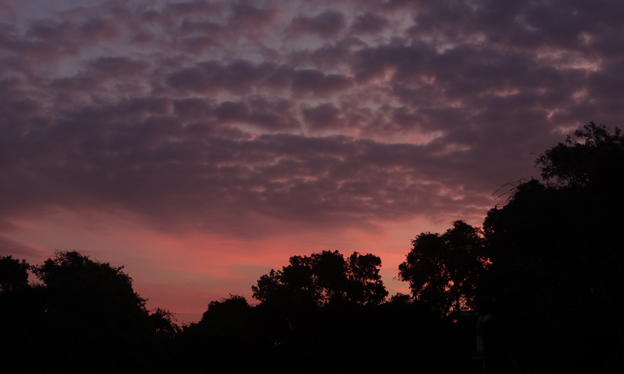 Descarga gratuita de fondo de pantalla para móvil de Atardecer, Tierra/naturaleza.