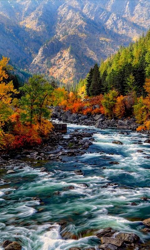 Скачать картинку Река, Осень, Гора, Лес, Дерево, Земля, Падать, Земля/природа в телефон бесплатно.