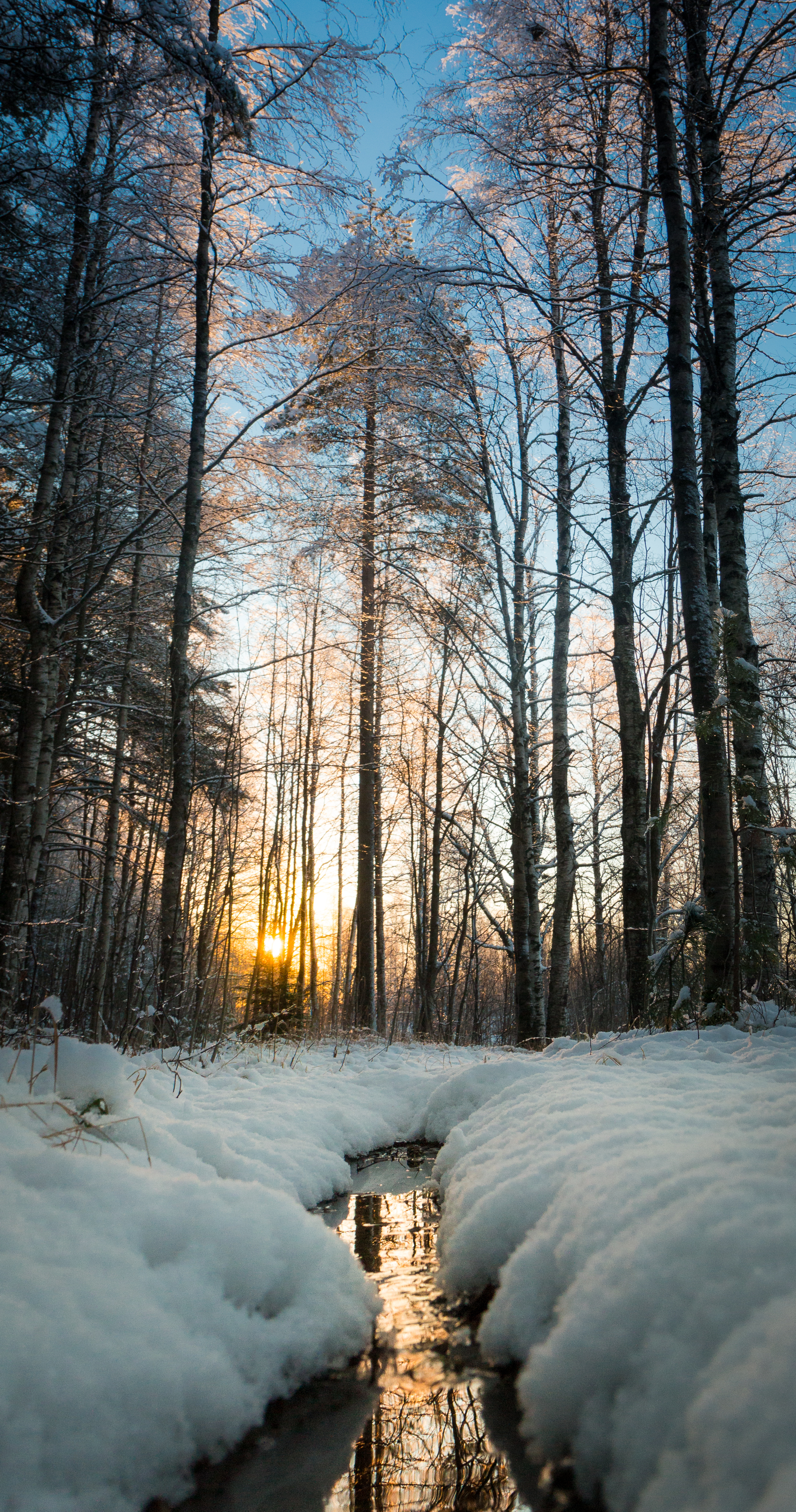 Скачать картинку Деревья, Ручей, Снег, Солнце, Природа в телефон бесплатно.