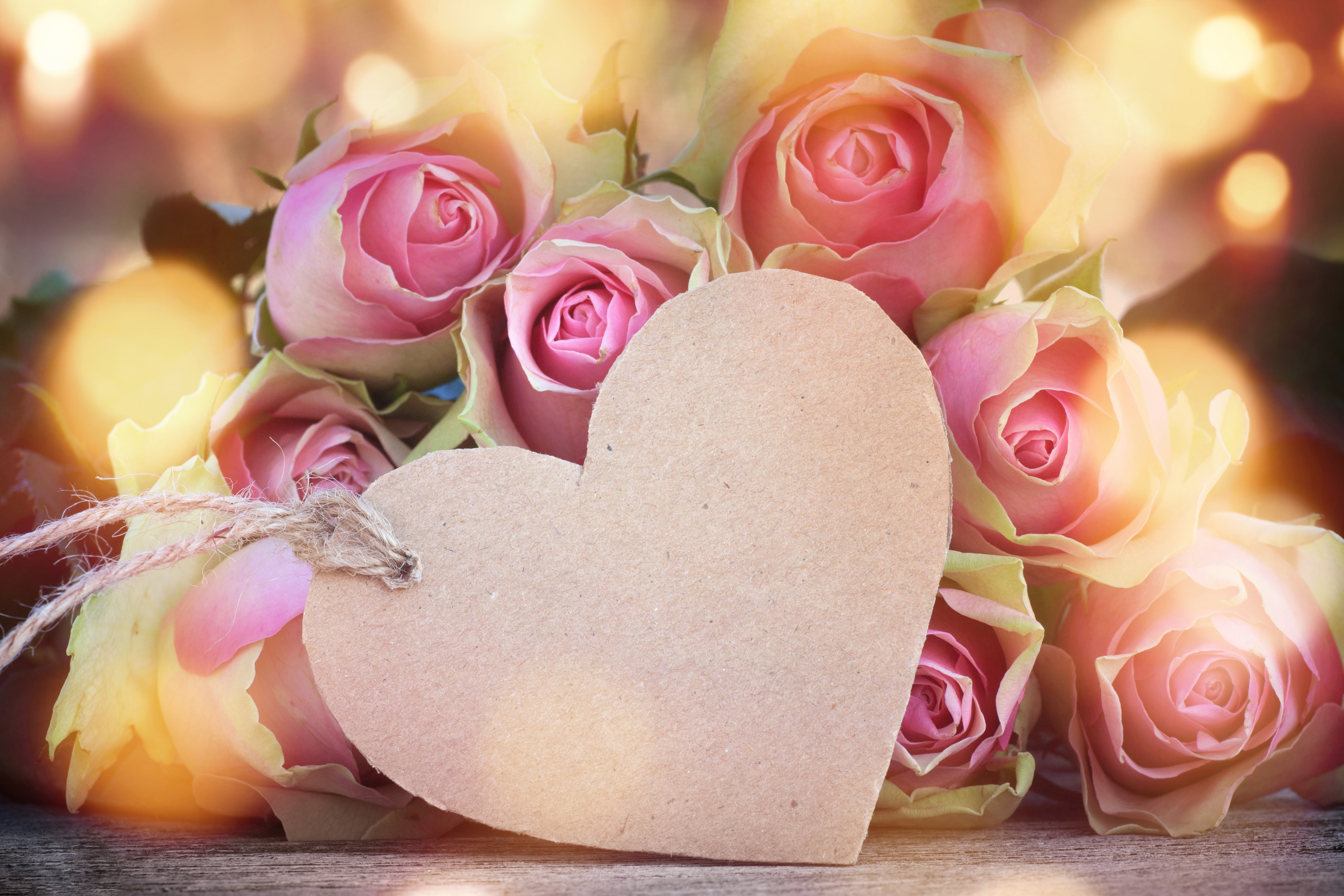 Laden Sie das Feiertage, Valentinstag, Blume, Rose, Herz, Pinke Blume-Bild kostenlos auf Ihren PC-Desktop herunter