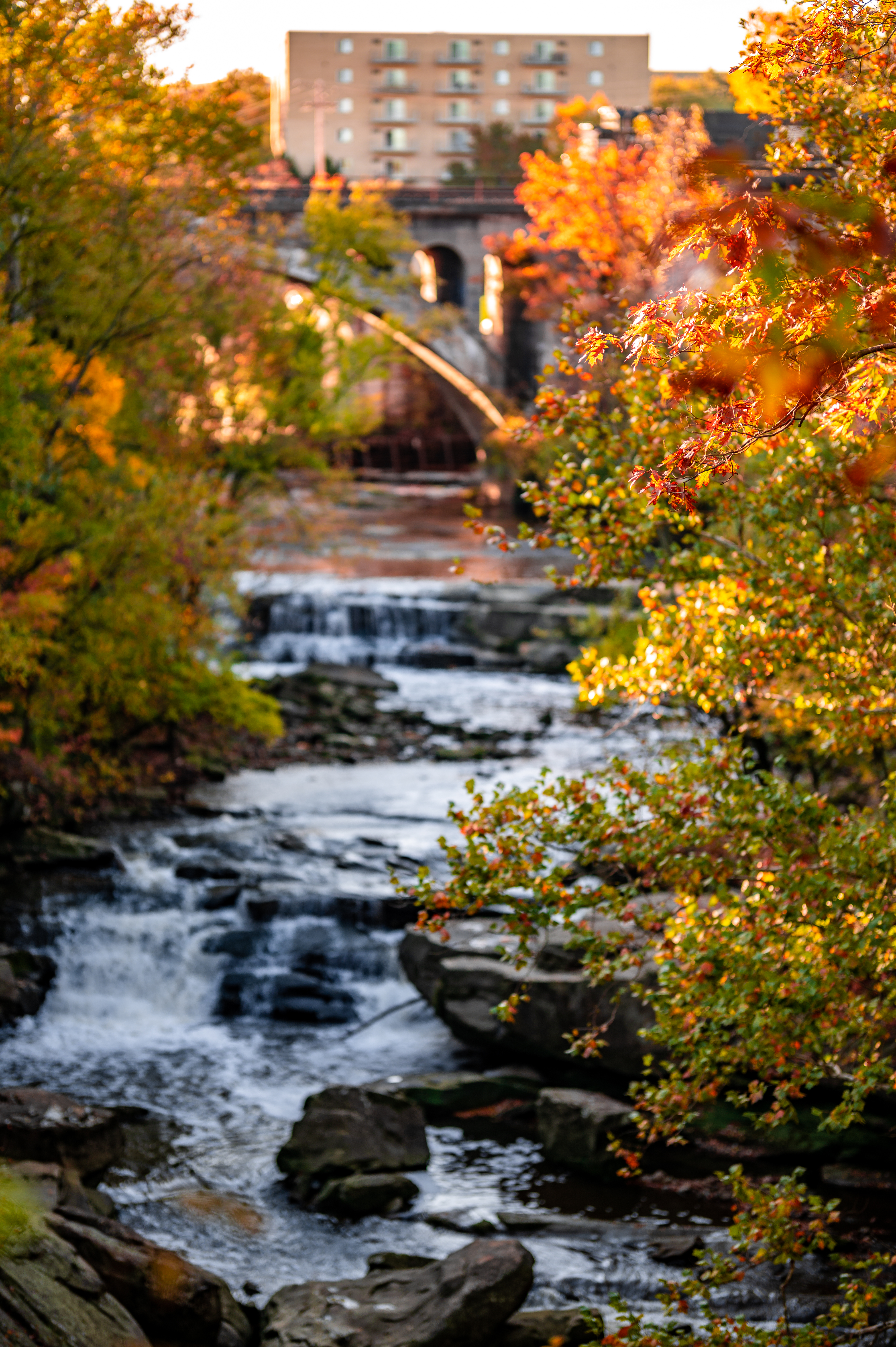 Скачать картинку Природа, Река, Камни, Ветки, Осень в телефон бесплатно.