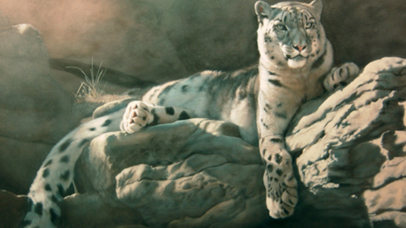 Download mobile wallpaper Snow Leopard, Cats, Animal for free.