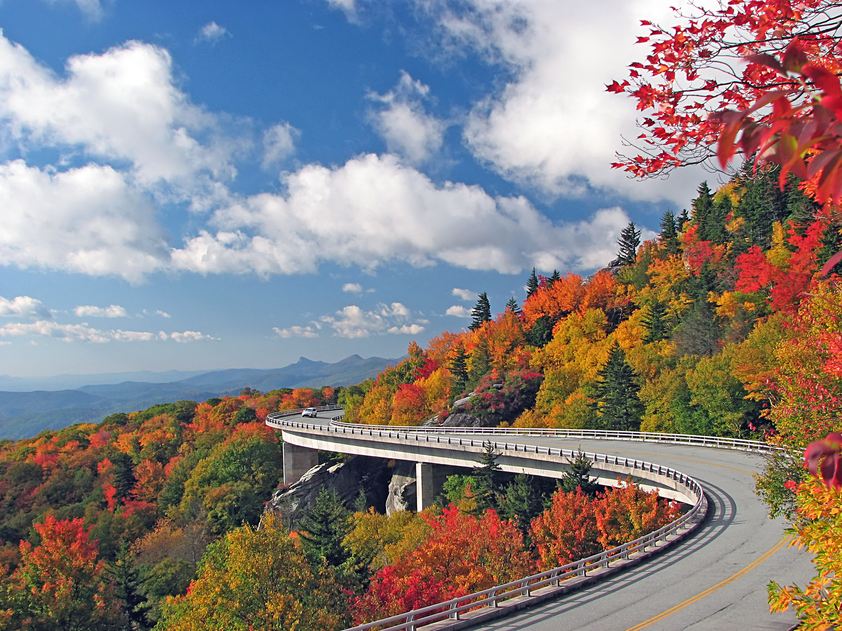 Descarga gratuita de fondo de pantalla para móvil de Otoño, Bosque, Árbol, Carretera, Hecho Por El Hombre.