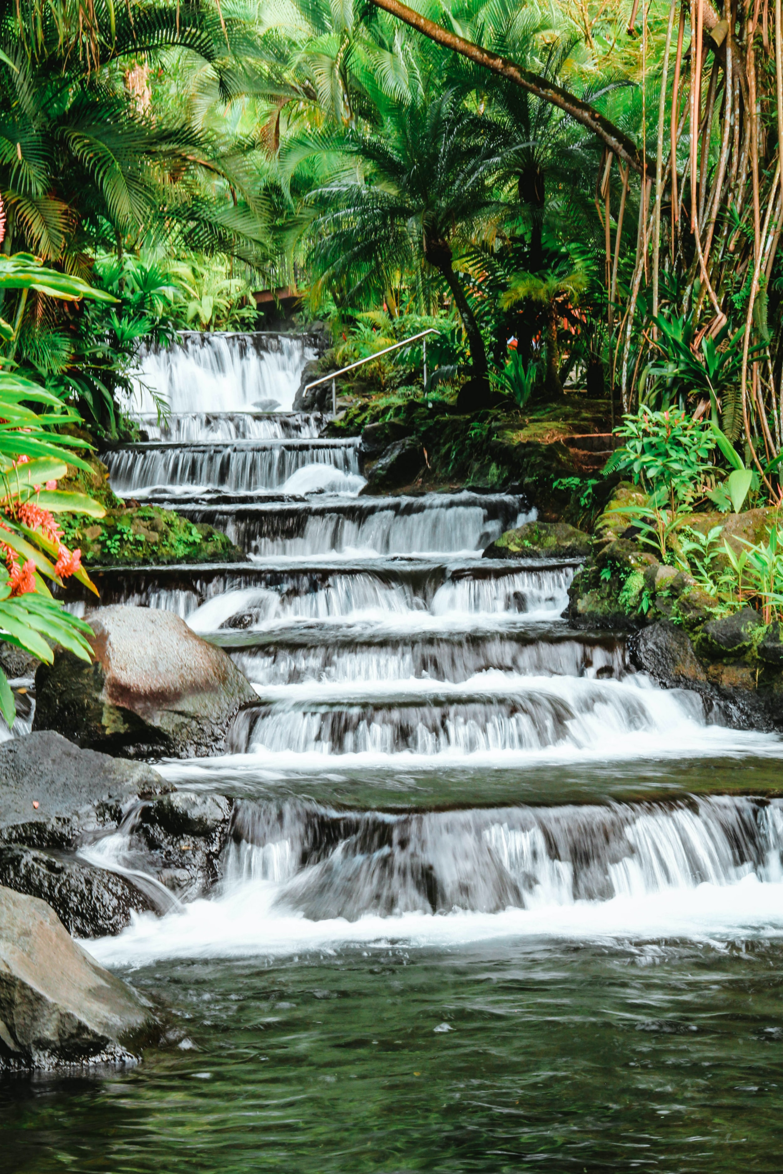 tropical, flow, leaves, plants, nature, stones, waterfall, stream