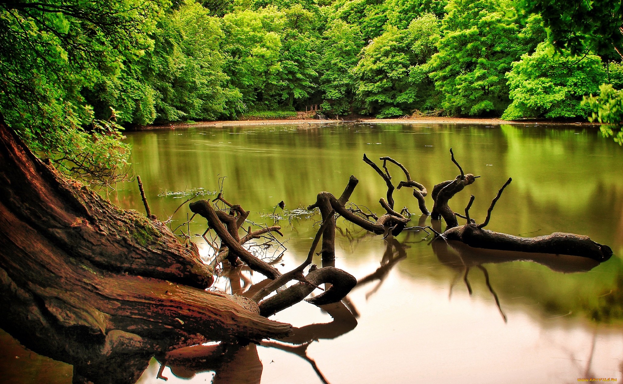 Téléchargez gratuitement l'image Terre/nature, Rivière sur le bureau de votre PC