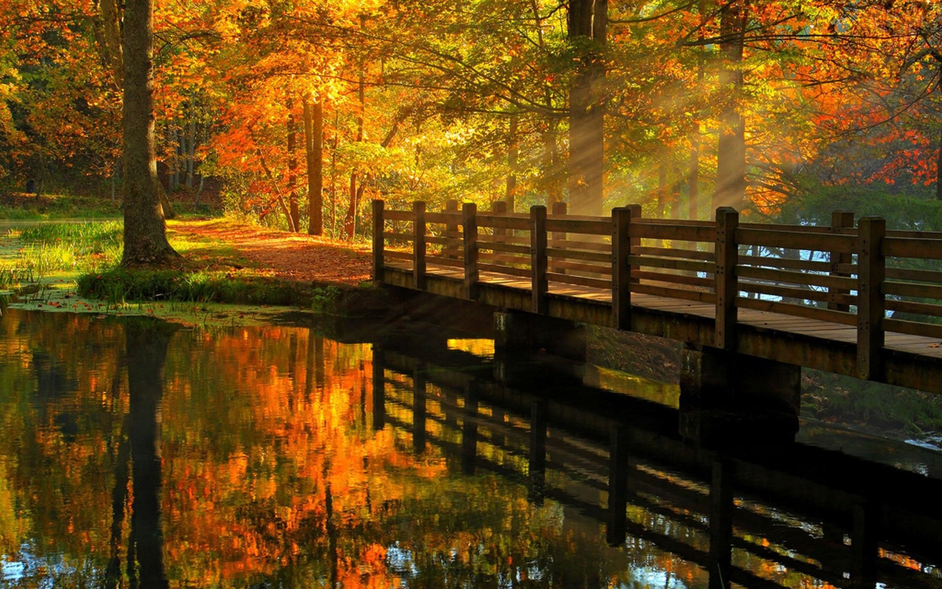 Handy-Wallpaper Herbst, Baum, Brücke, Teich, Sonne, Sonnenstrahl, Brücken, Menschengemacht, Spiegelung, Sonnenschein kostenlos herunterladen.