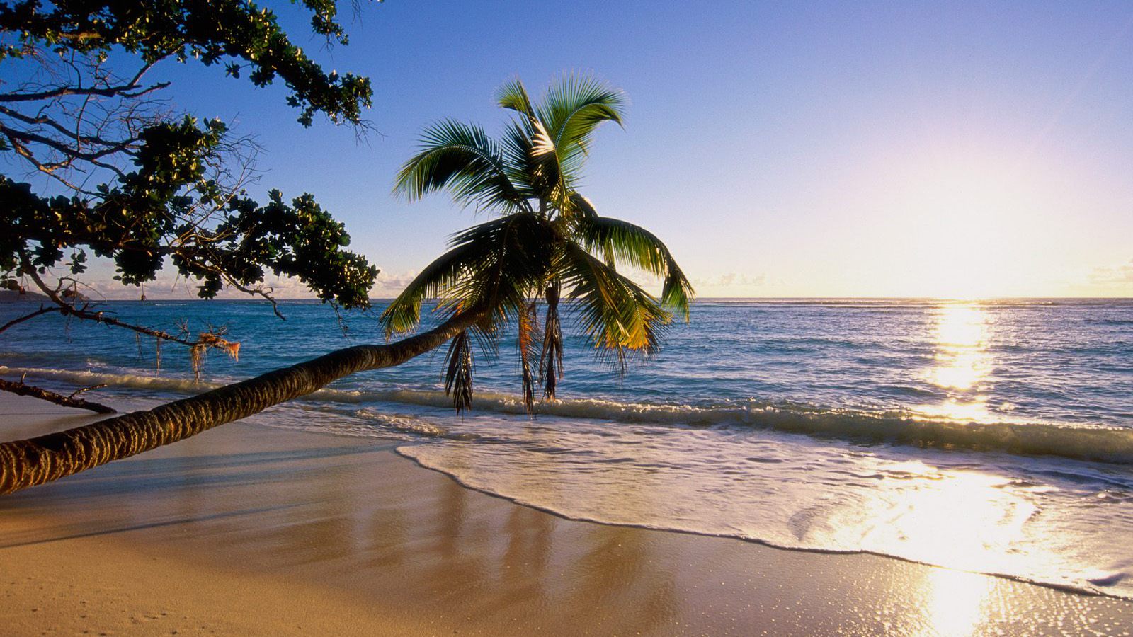 Скачать обои бесплатно Пляж, Океан, Земля/природа, Закат Солнца картинка на рабочий стол ПК