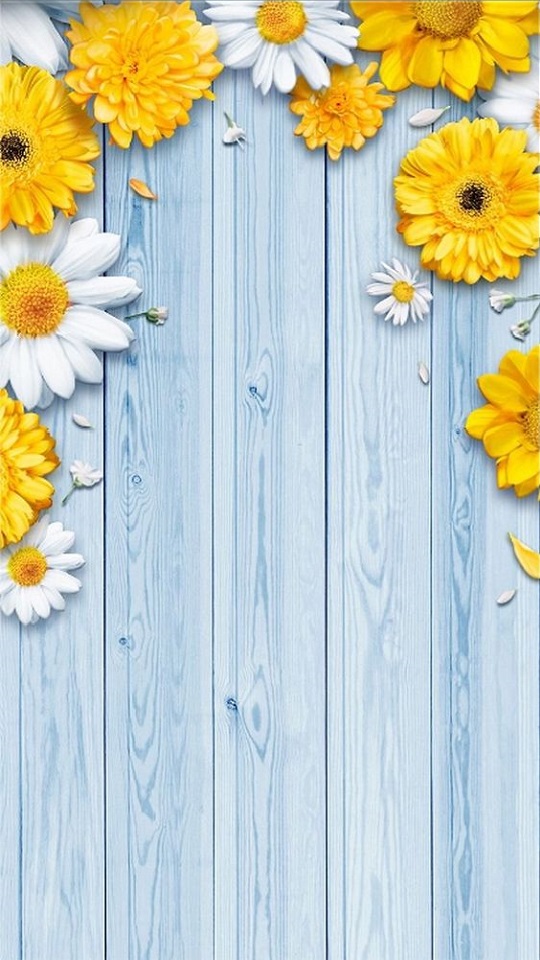 Download mobile wallpaper Flower, Wood, Artistic, Daisy for free.