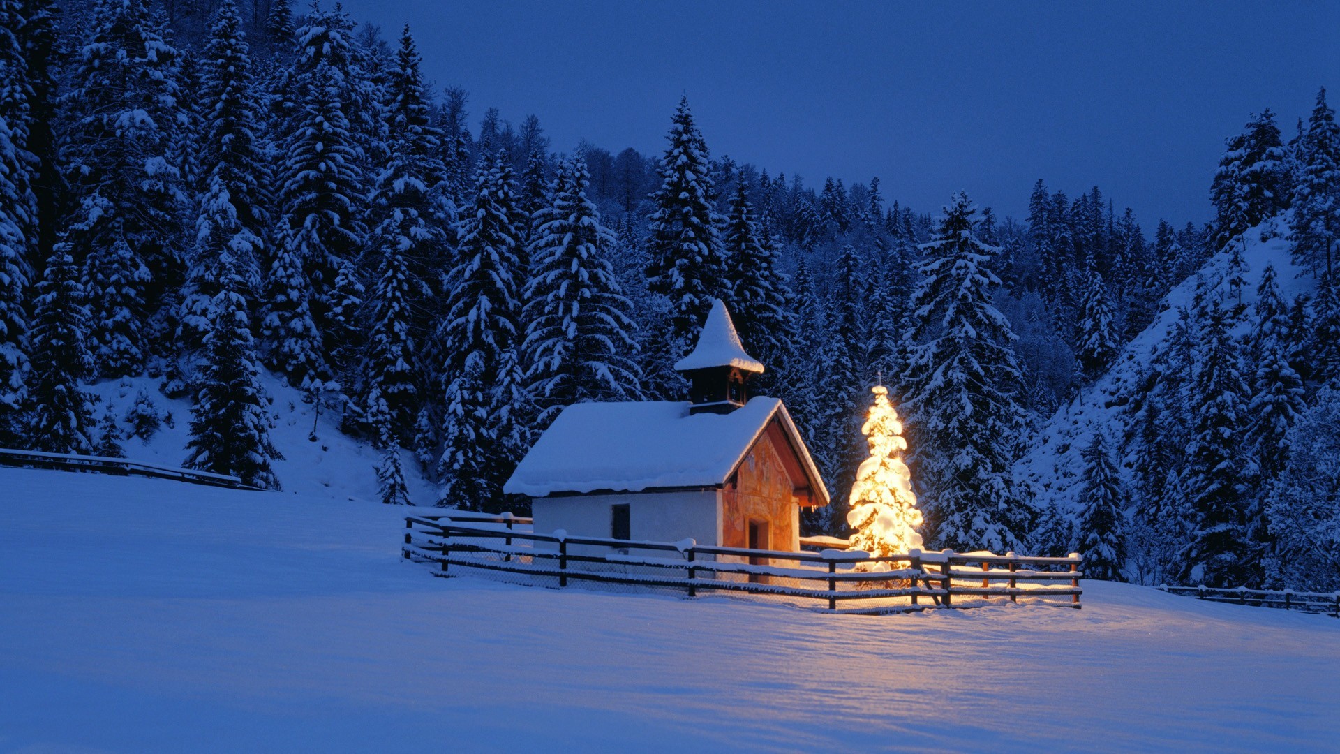 Baixar papel de parede para celular de Inverno, Neve, Natal, Luz, Floresta, Árvore, Terra, Igreja, Feriados gratuito.