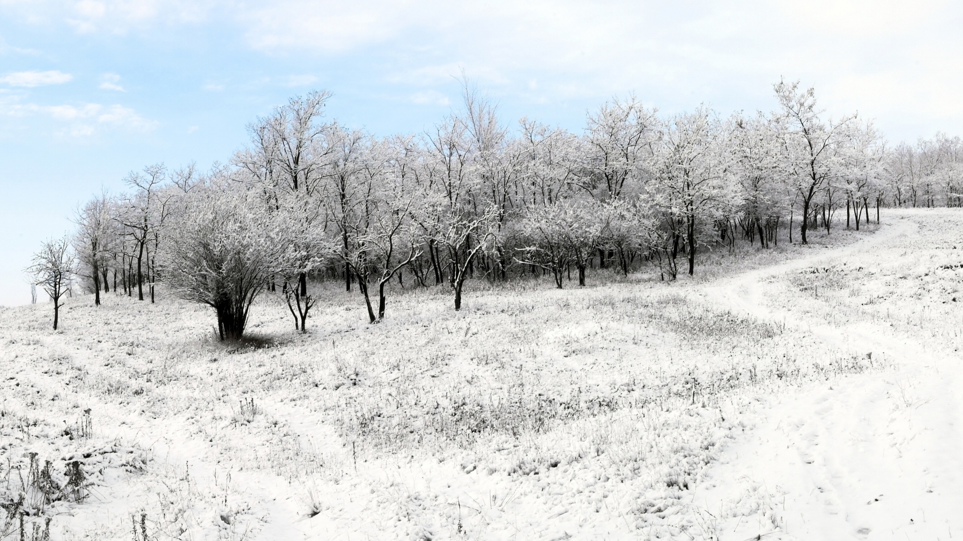 Téléchargez des papiers peints mobile Hiver, Terre/nature gratuitement.