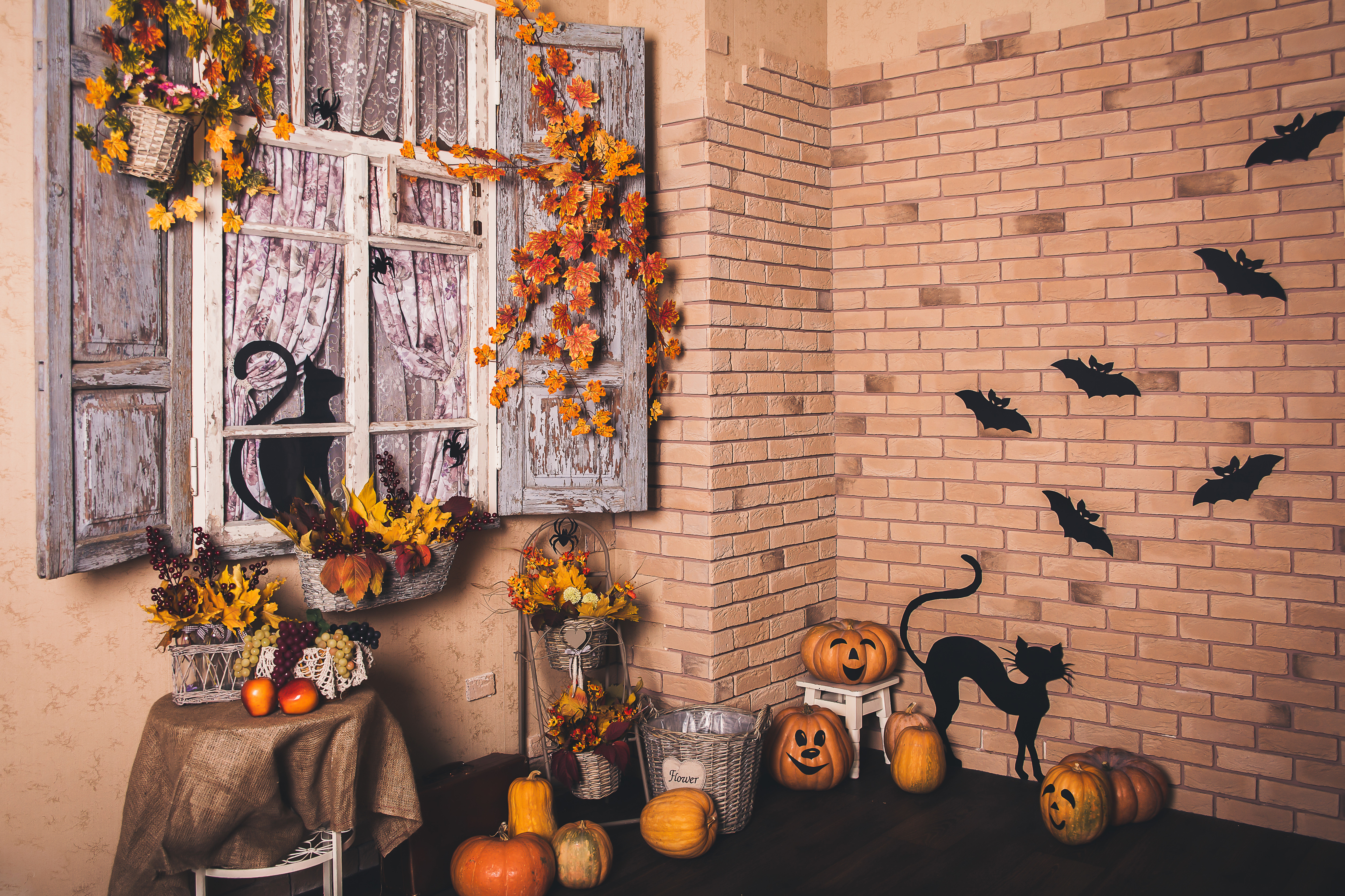 Download mobile wallpaper Halloween, Pumpkin, Still Life, Cat, Holiday, Fall, Window for free.