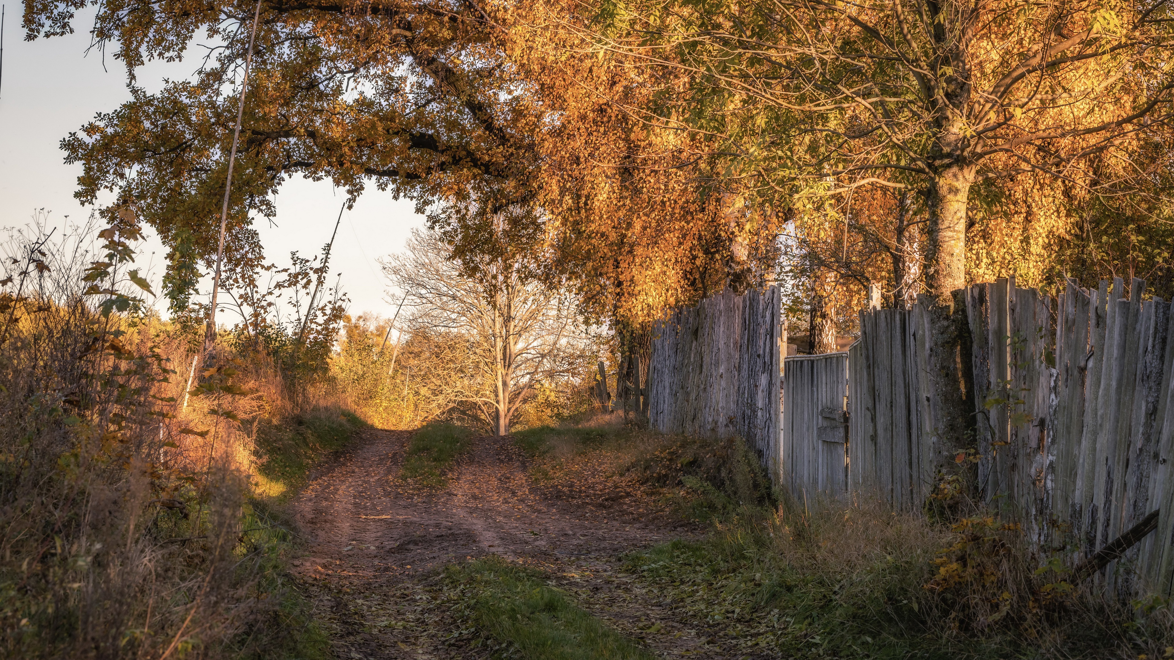 Download mobile wallpaper Road, Fall, Path, Fence, Man Made for free.