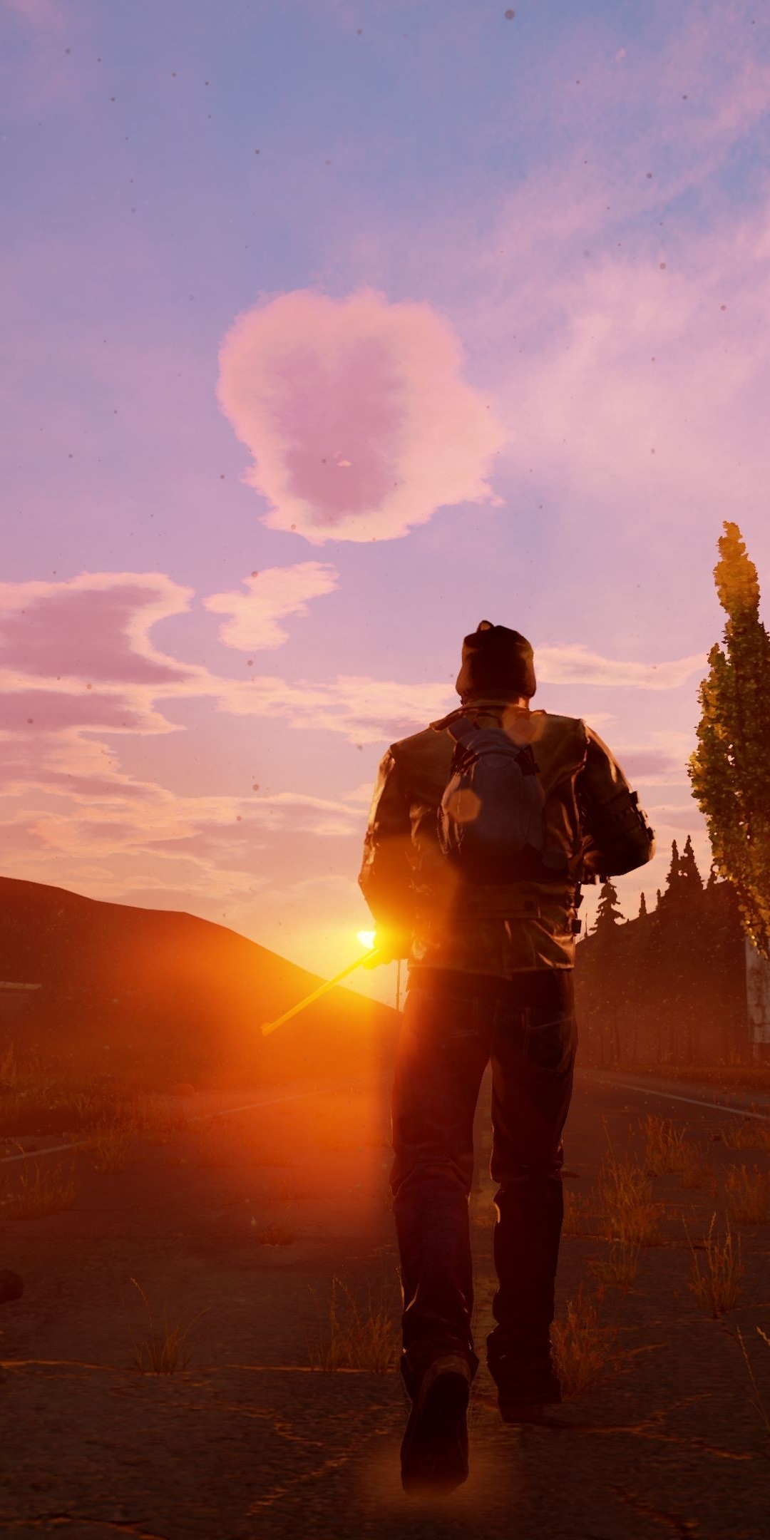 Download mobile wallpaper Video Game, State Of Decay 2 for free.