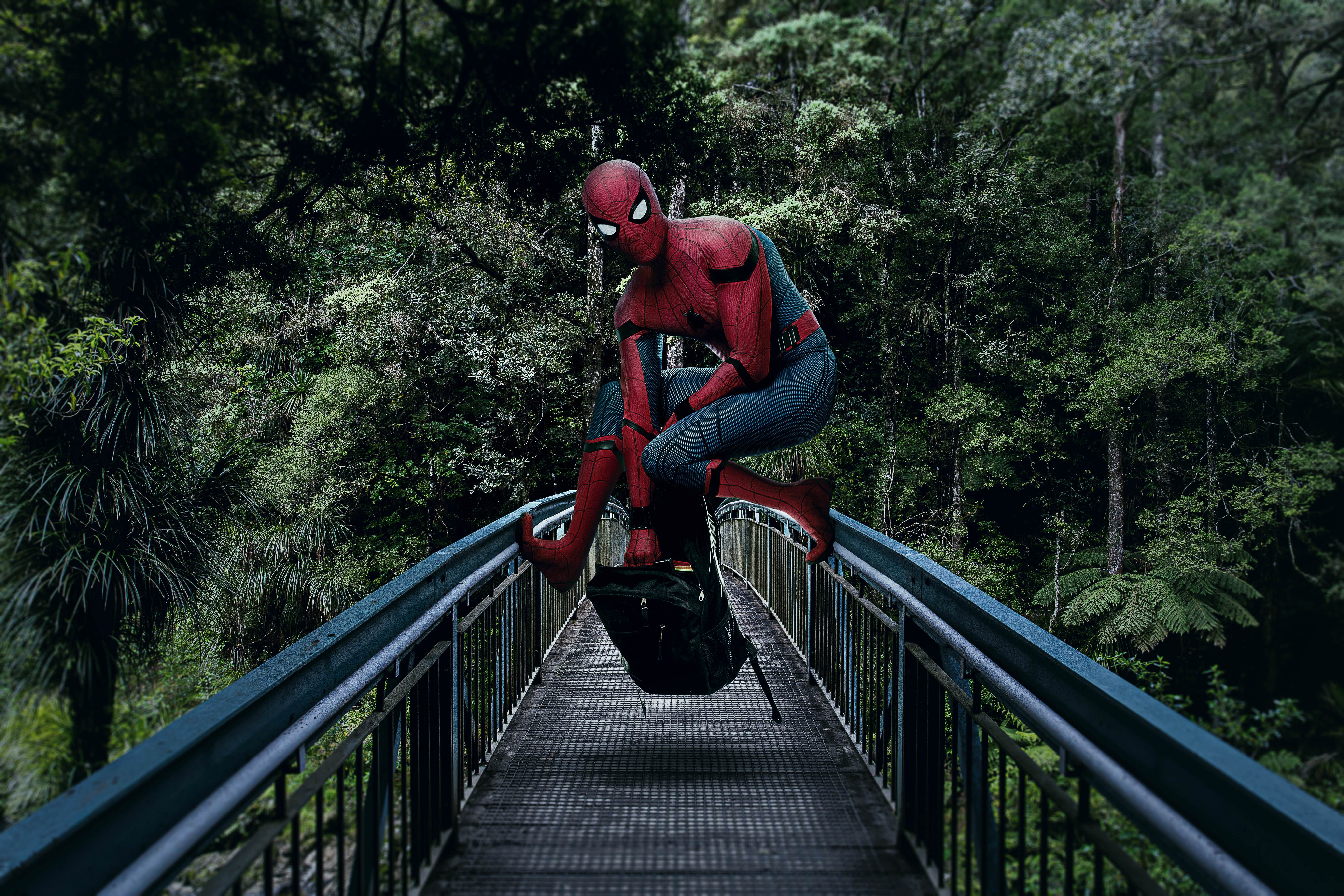 Téléchargez gratuitement l'image Spider Man, Film, Homme Araignée, Spider Man: Homecoming sur le bureau de votre PC