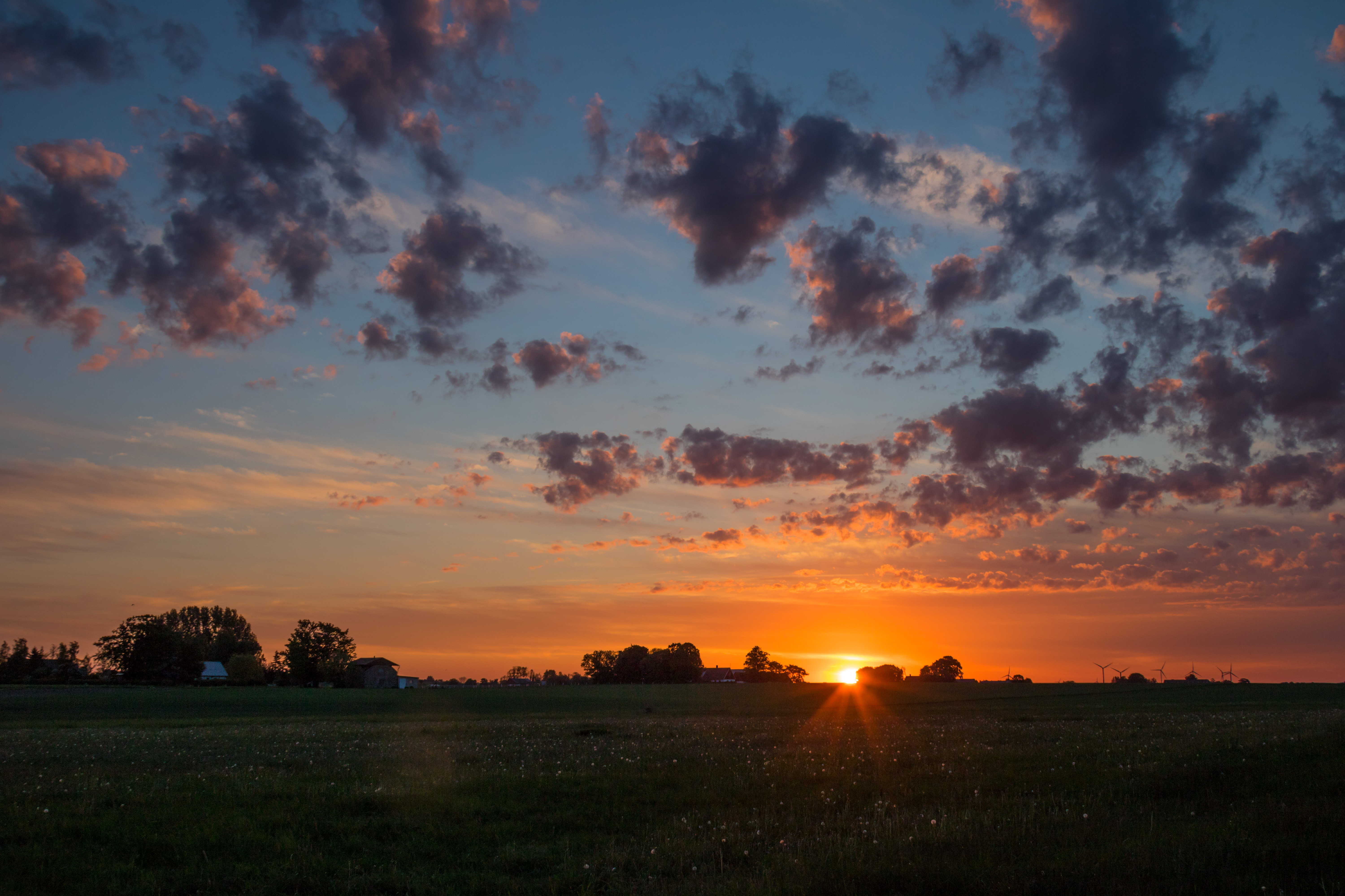 sky, nature, grass, clouds, dawn, horizon, field, morning Image for desktop