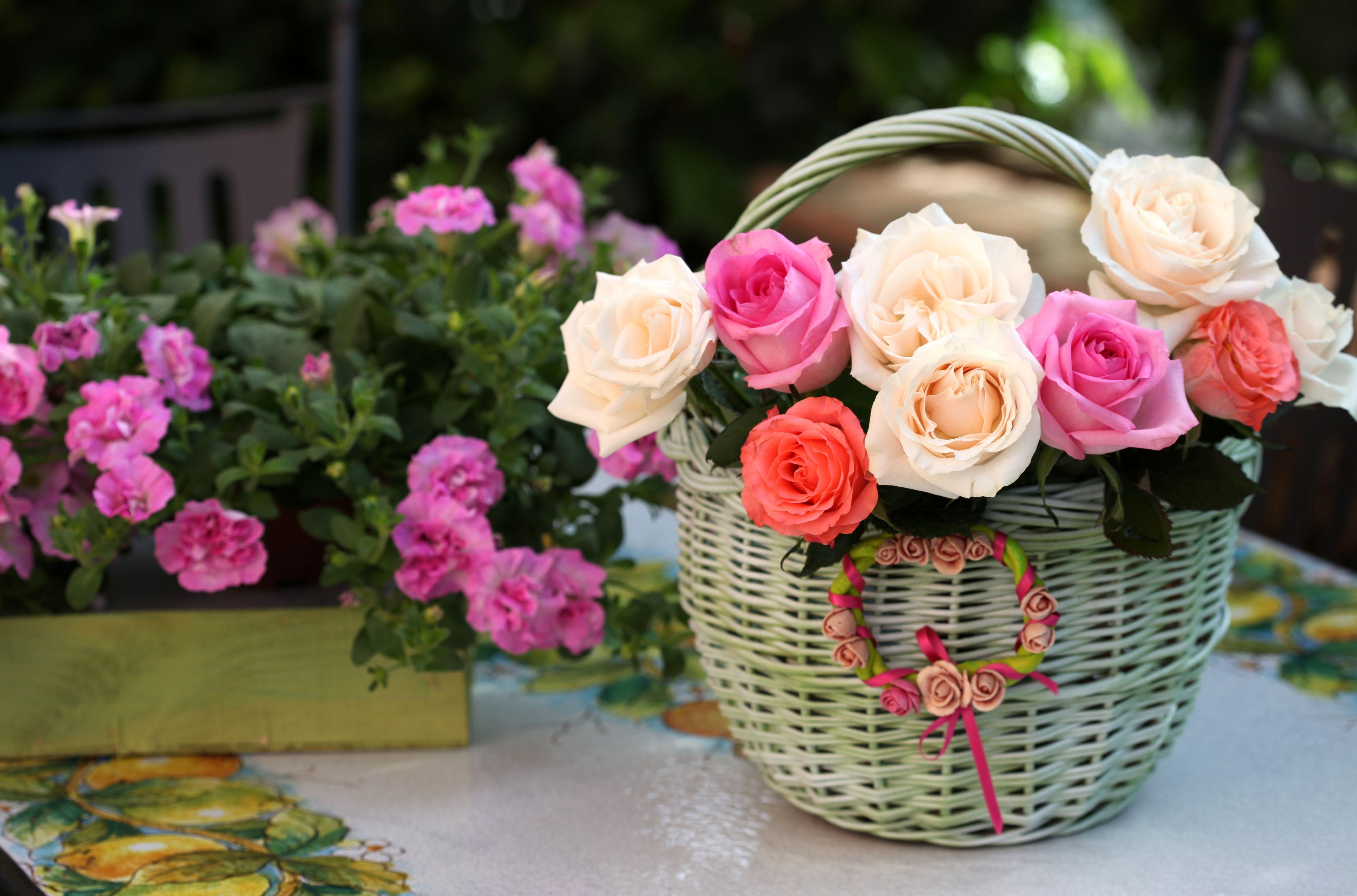 flowers, roses, basket, composition, handsomely, it's beautiful