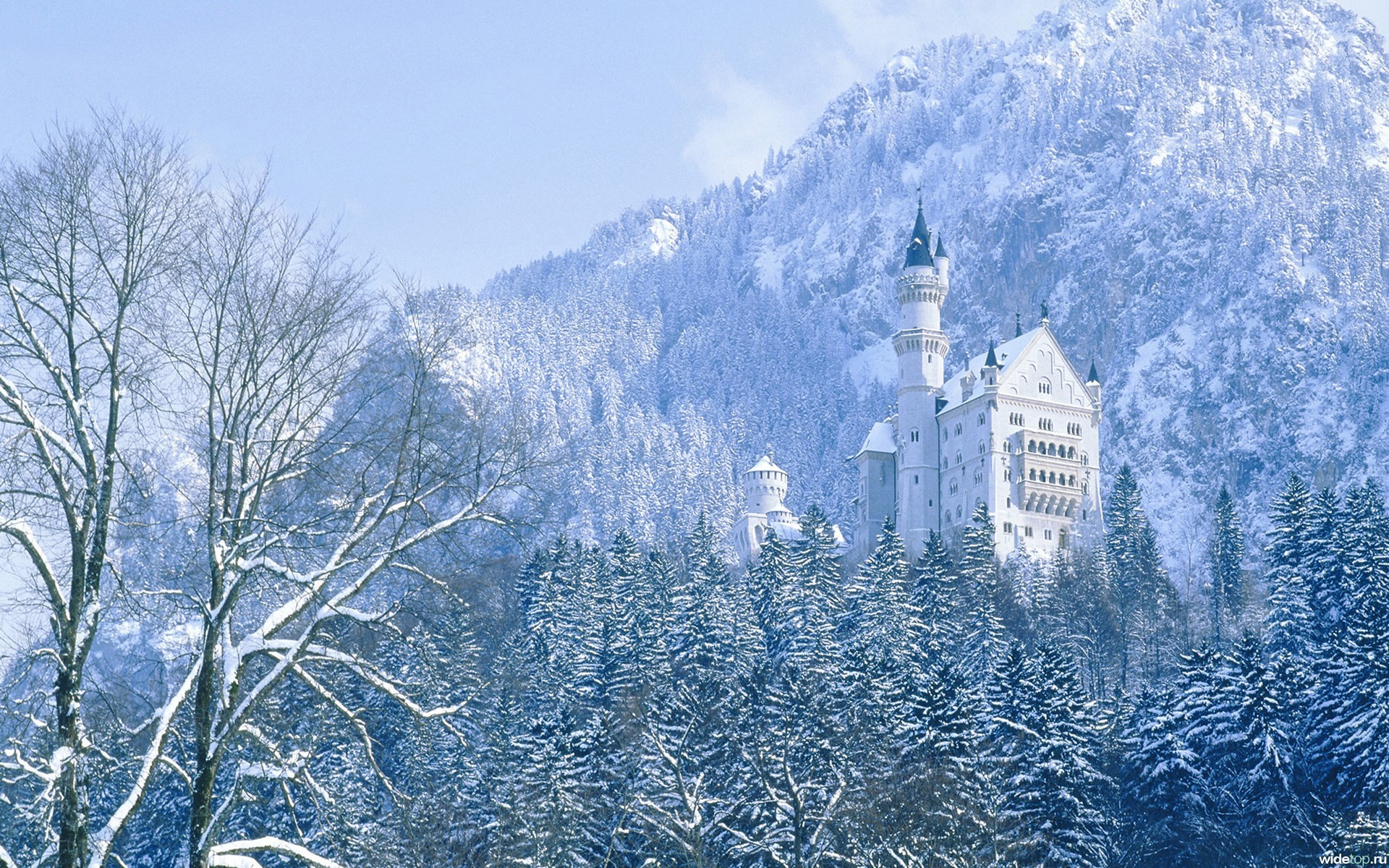Free download wallpaper Winter, Trees, Mountains, Landscape, Castles on your PC desktop
