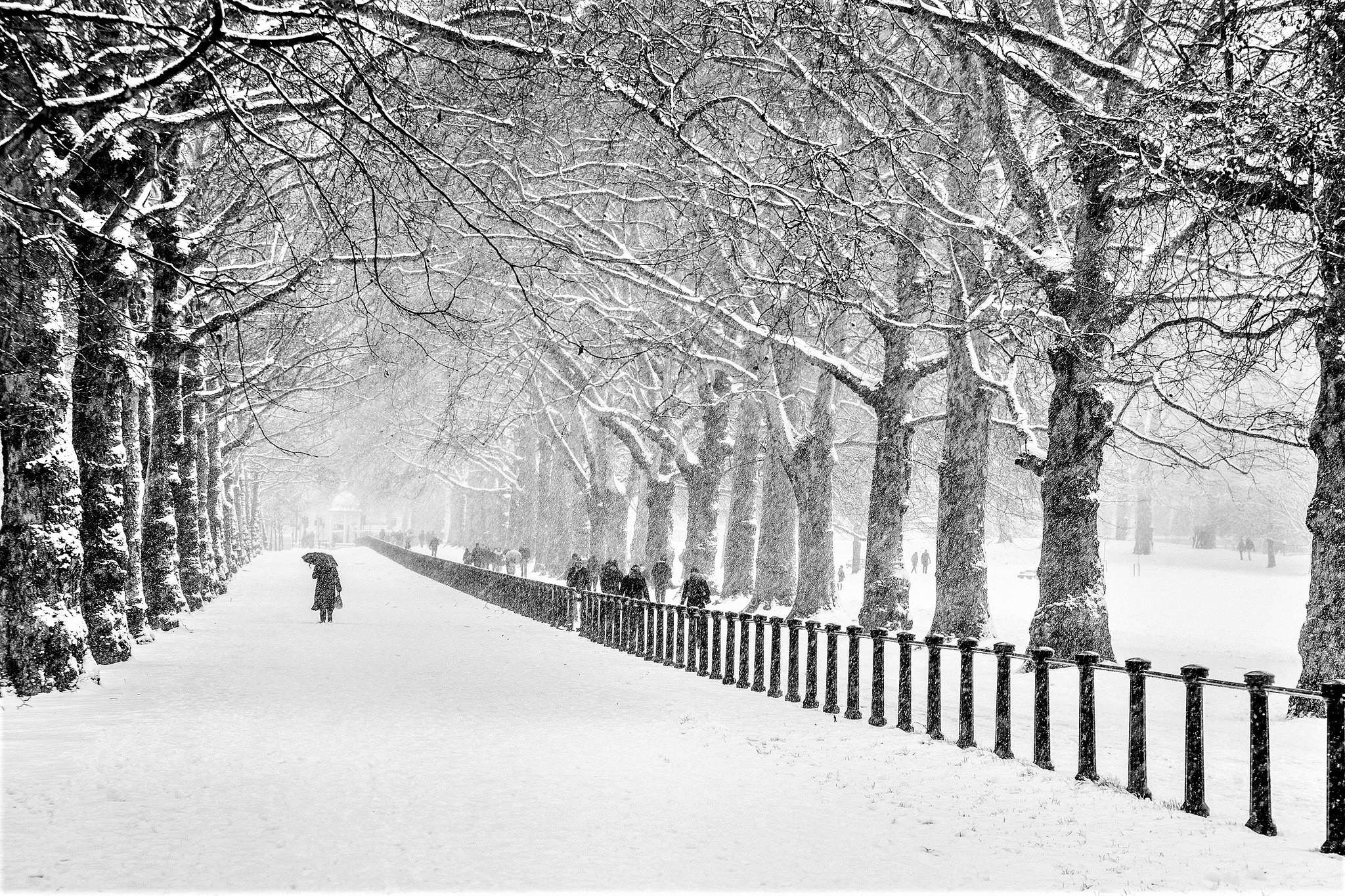 Free download wallpaper People, Winter, Snow, Park, Tree, Fence, Photography, Snowfall on your PC desktop
