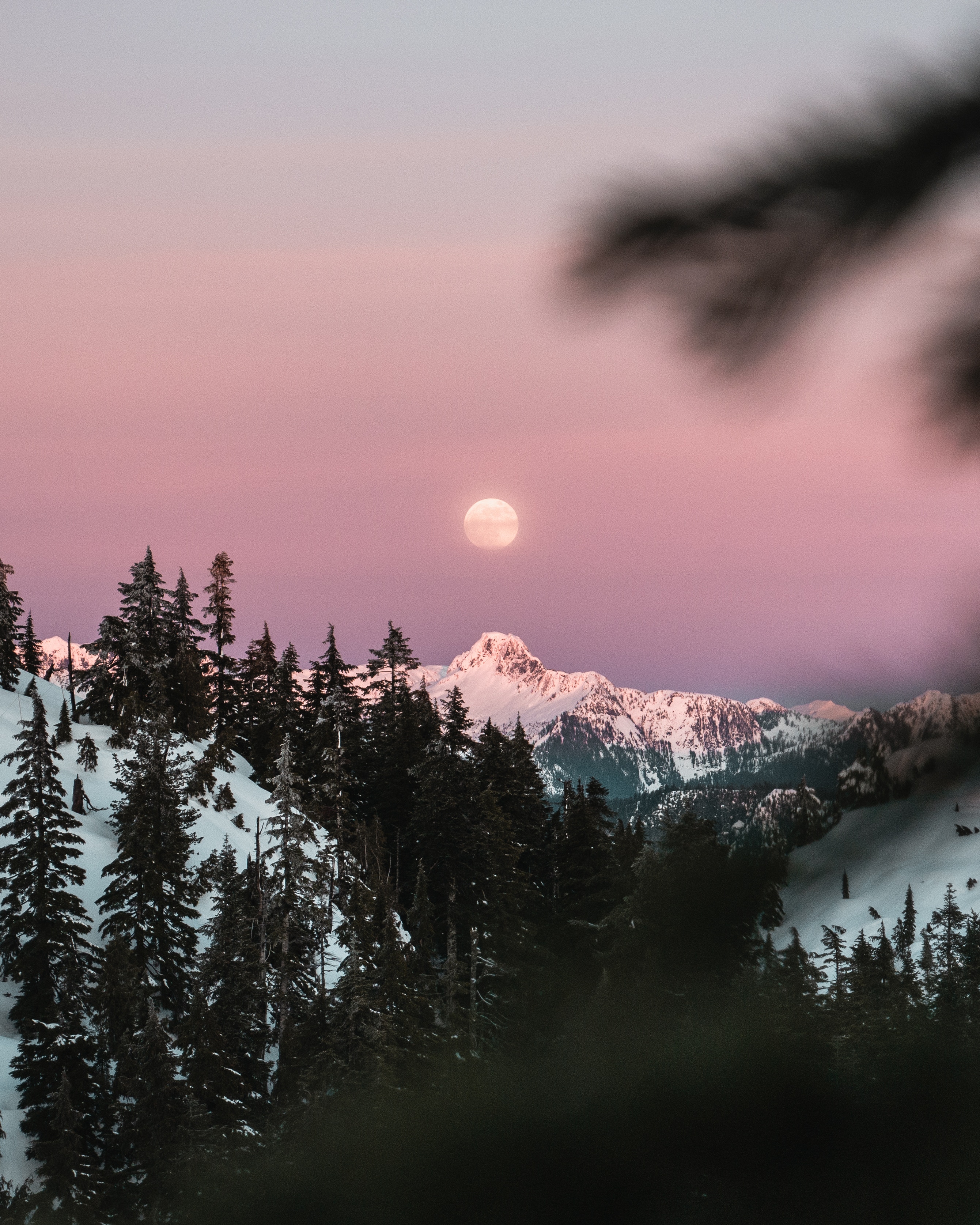 Free download wallpaper Nature, Sky, Mountain, Branches, Snowbound, Snow Covered, Moon on your PC desktop