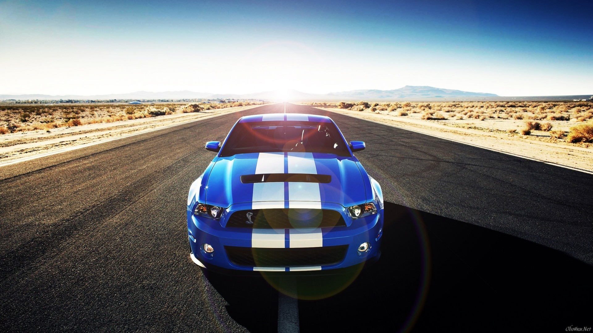 Free download wallpaper Ford Mustang, Vehicles on your PC desktop