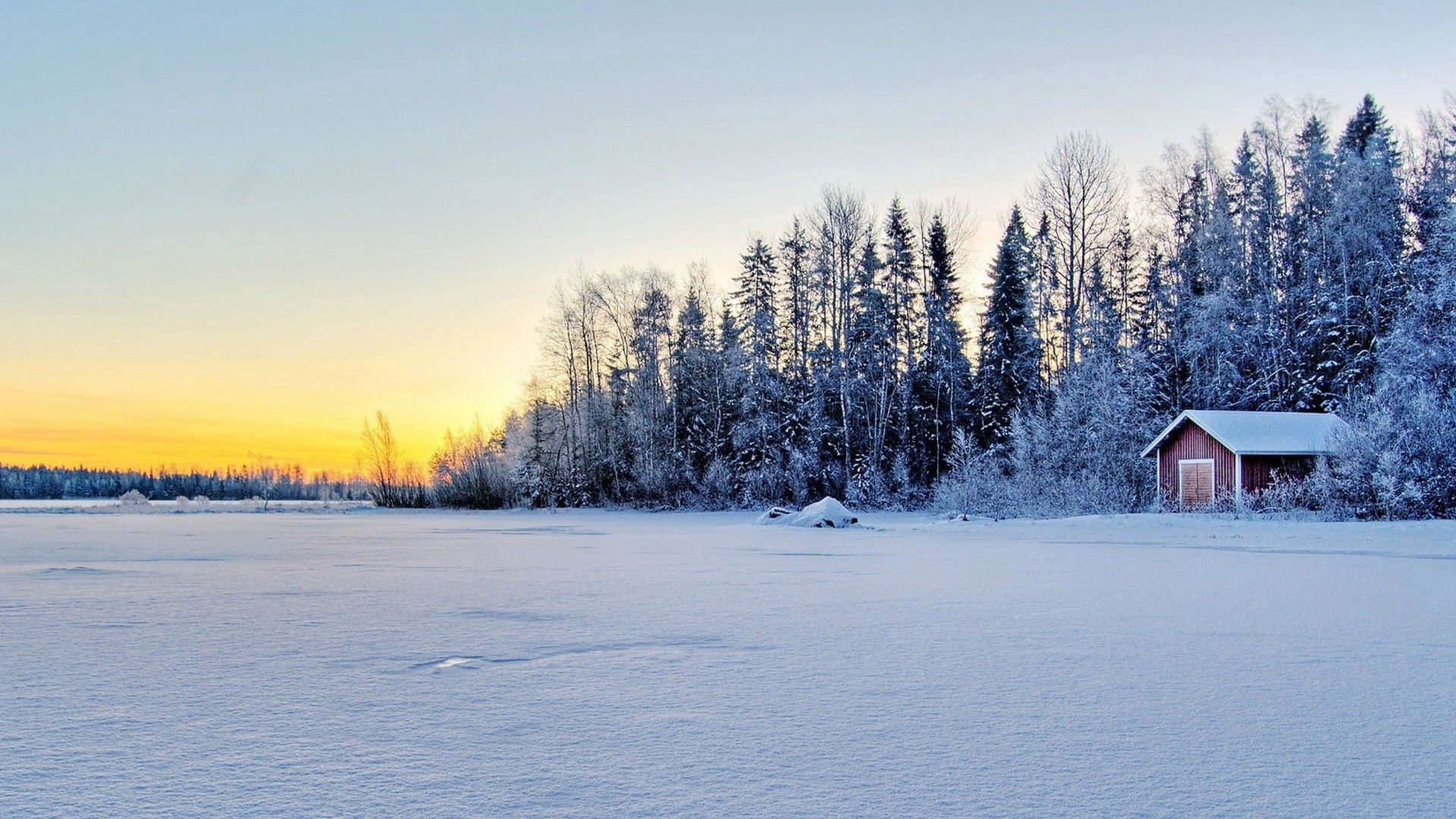 Laden Sie das Bäume, Schnee, Gebäude, Natur, Feld-Bild kostenlos auf Ihren PC-Desktop herunter