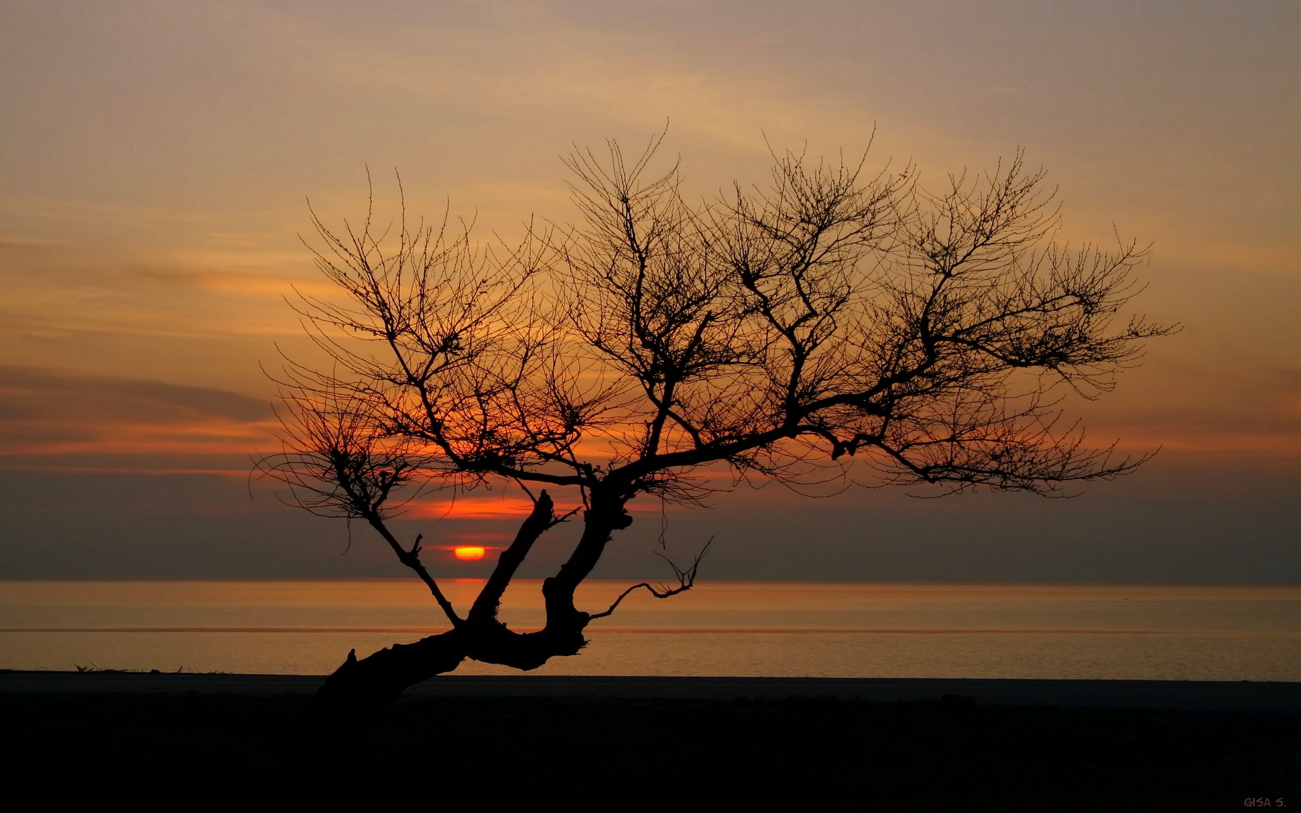 Téléchargez gratuitement l'image Coucher De Soleil, Terre/nature sur le bureau de votre PC