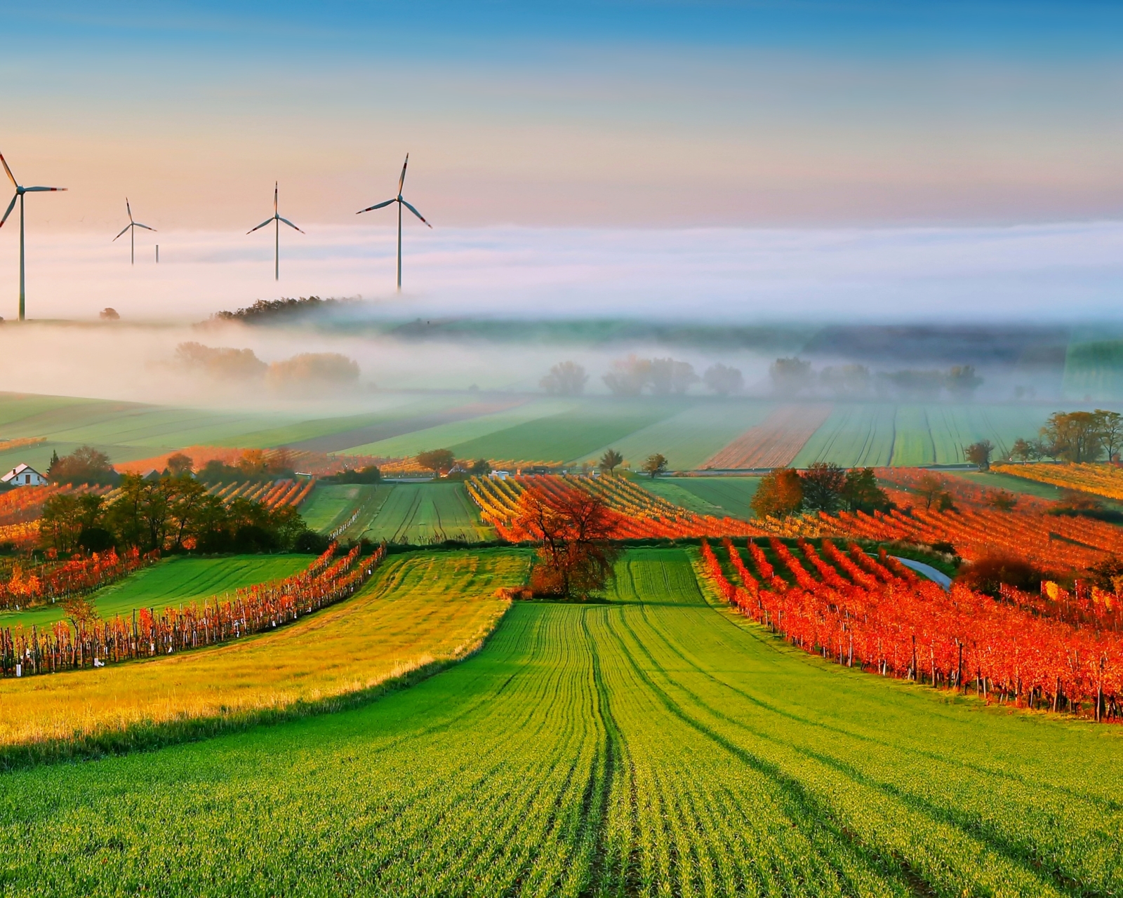 Free download wallpaper Landscape, Nature, Fog, Field, Wind Turbine, Man Made on your PC desktop