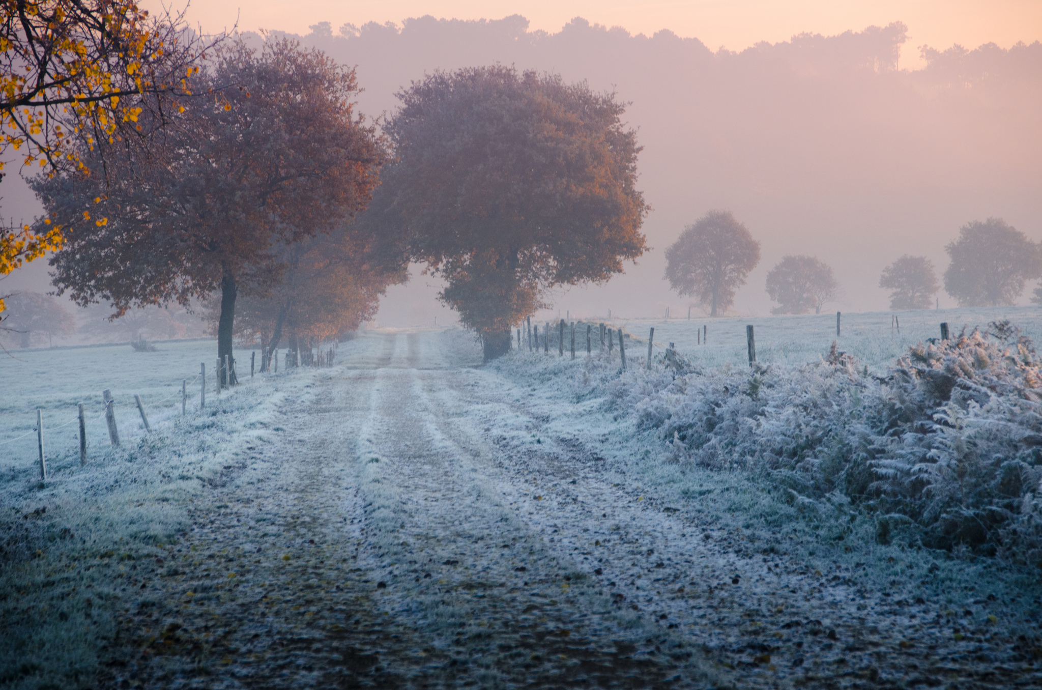 Free download wallpaper Winter, Snow, Road, Tree, Man Made on your PC desktop