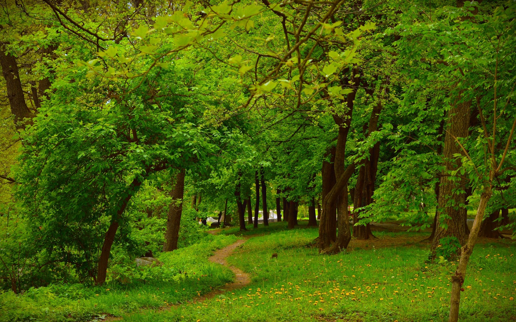 Download mobile wallpaper Park, Path, Spring, Photography for free.