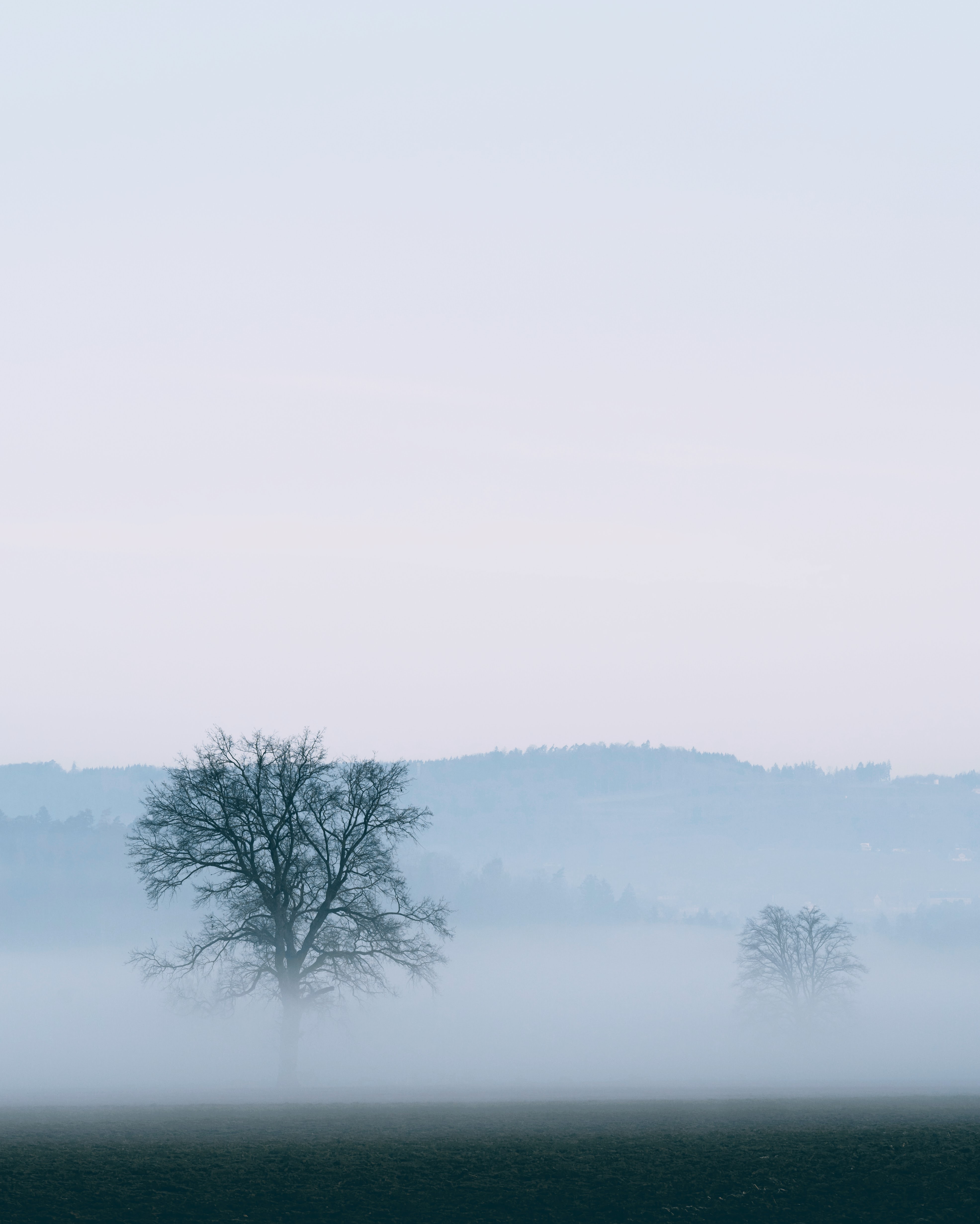 Download mobile wallpaper Fog, Tree, Wood, Horizon, Nature for free.