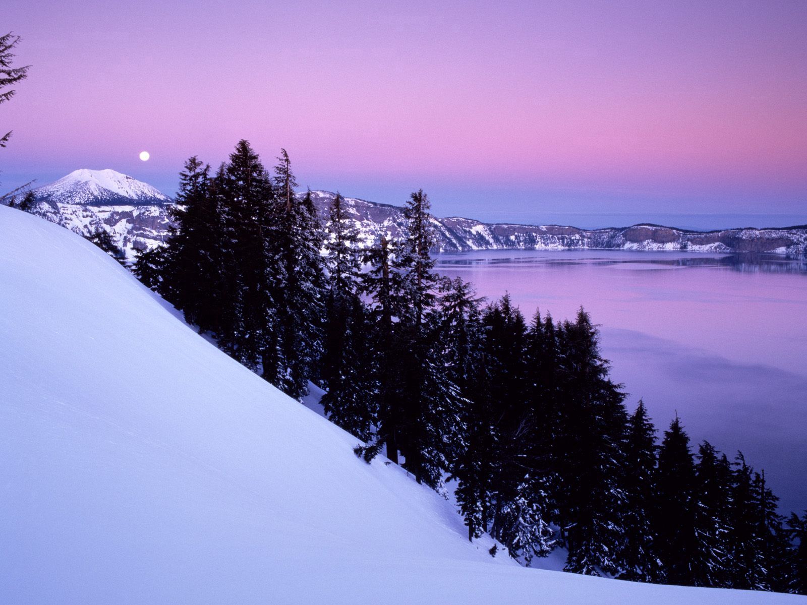 nature, winter, trees, snow, mountain, evening, slope, calmness, tranquillity